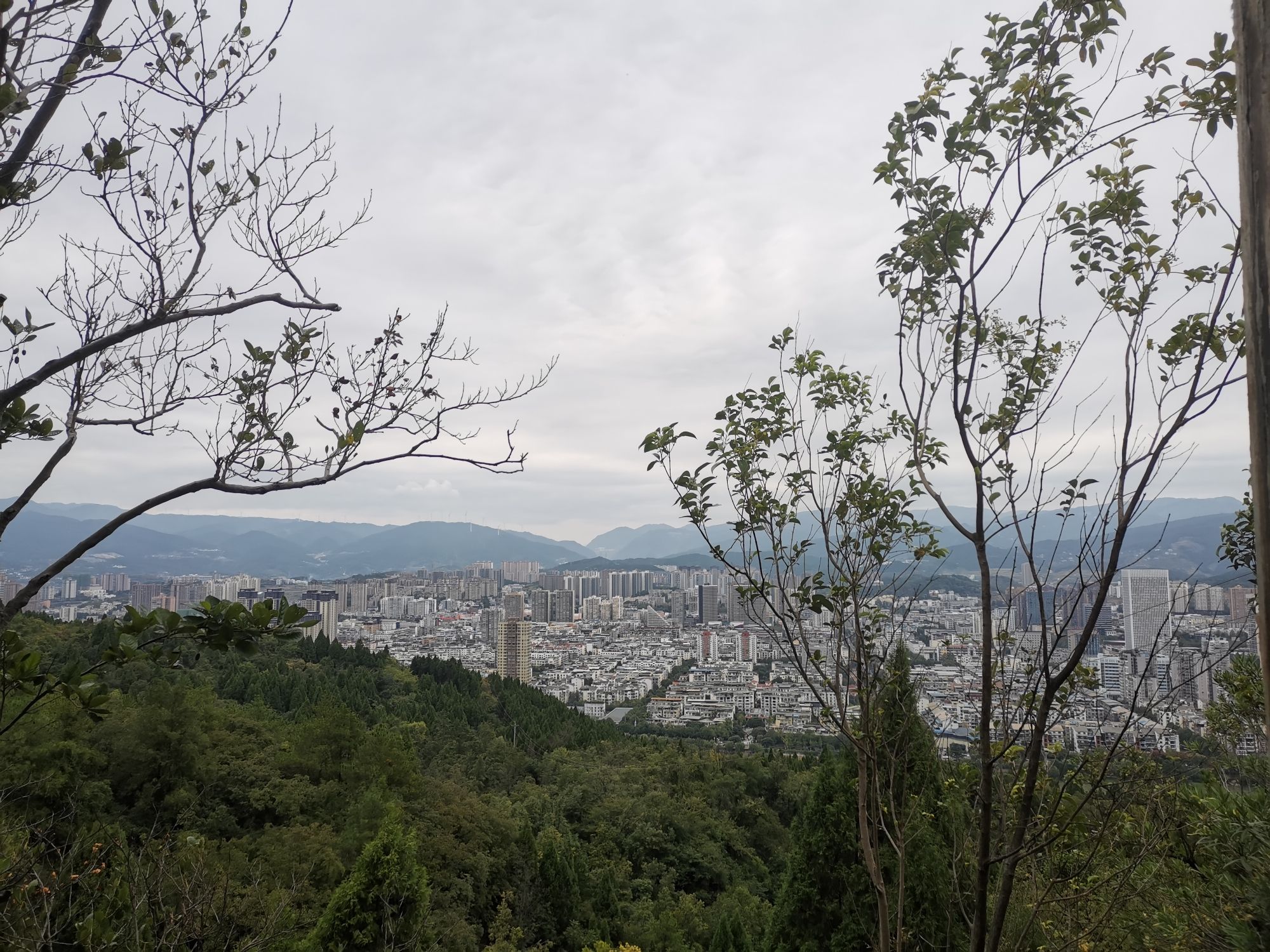 南河湿地公园旅行图片 1