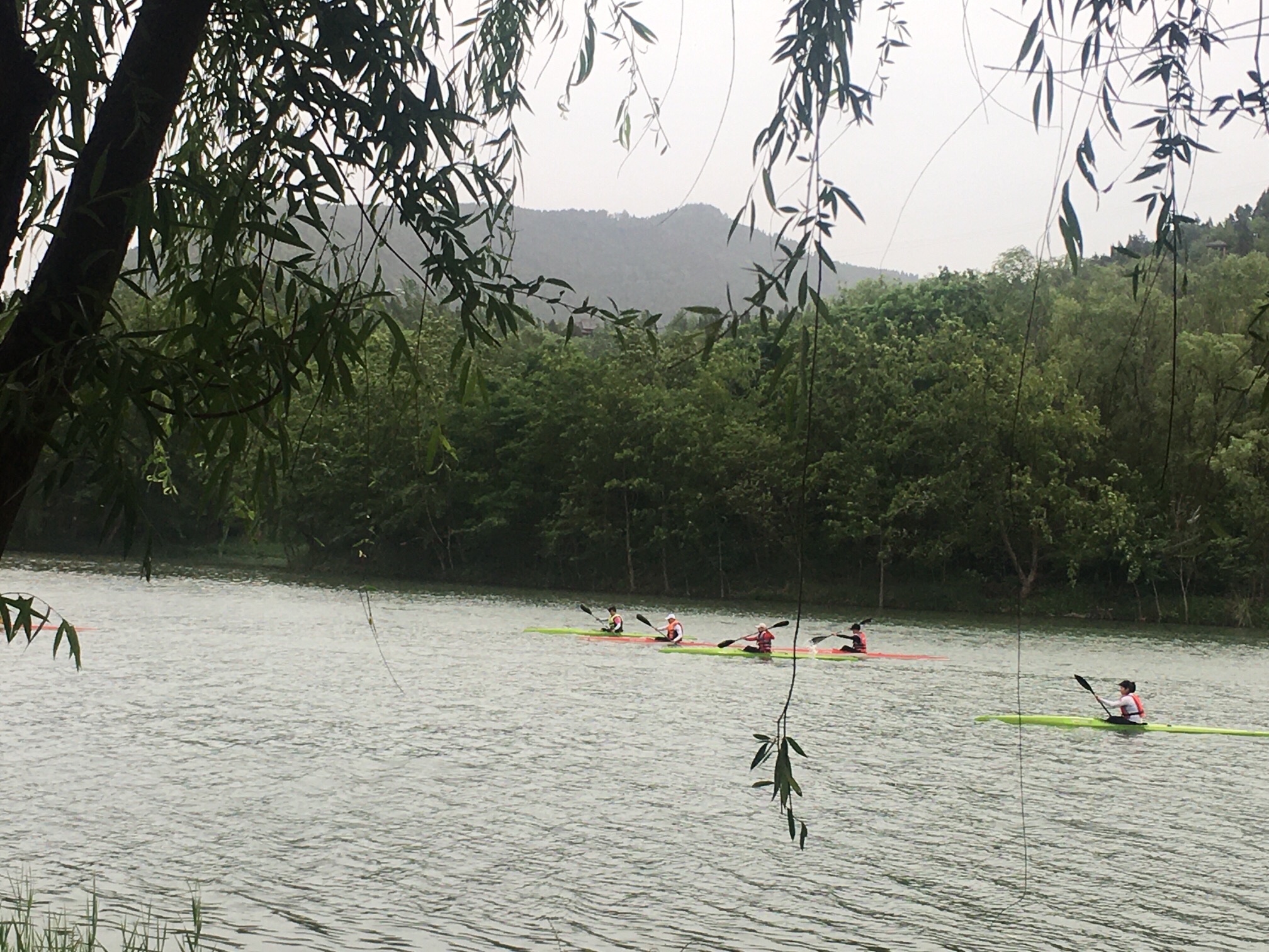 南河湿地公园旅行图片 3