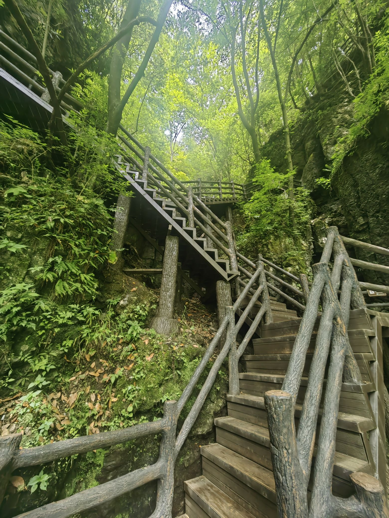 曾家山旅游度假区旅行图片 3