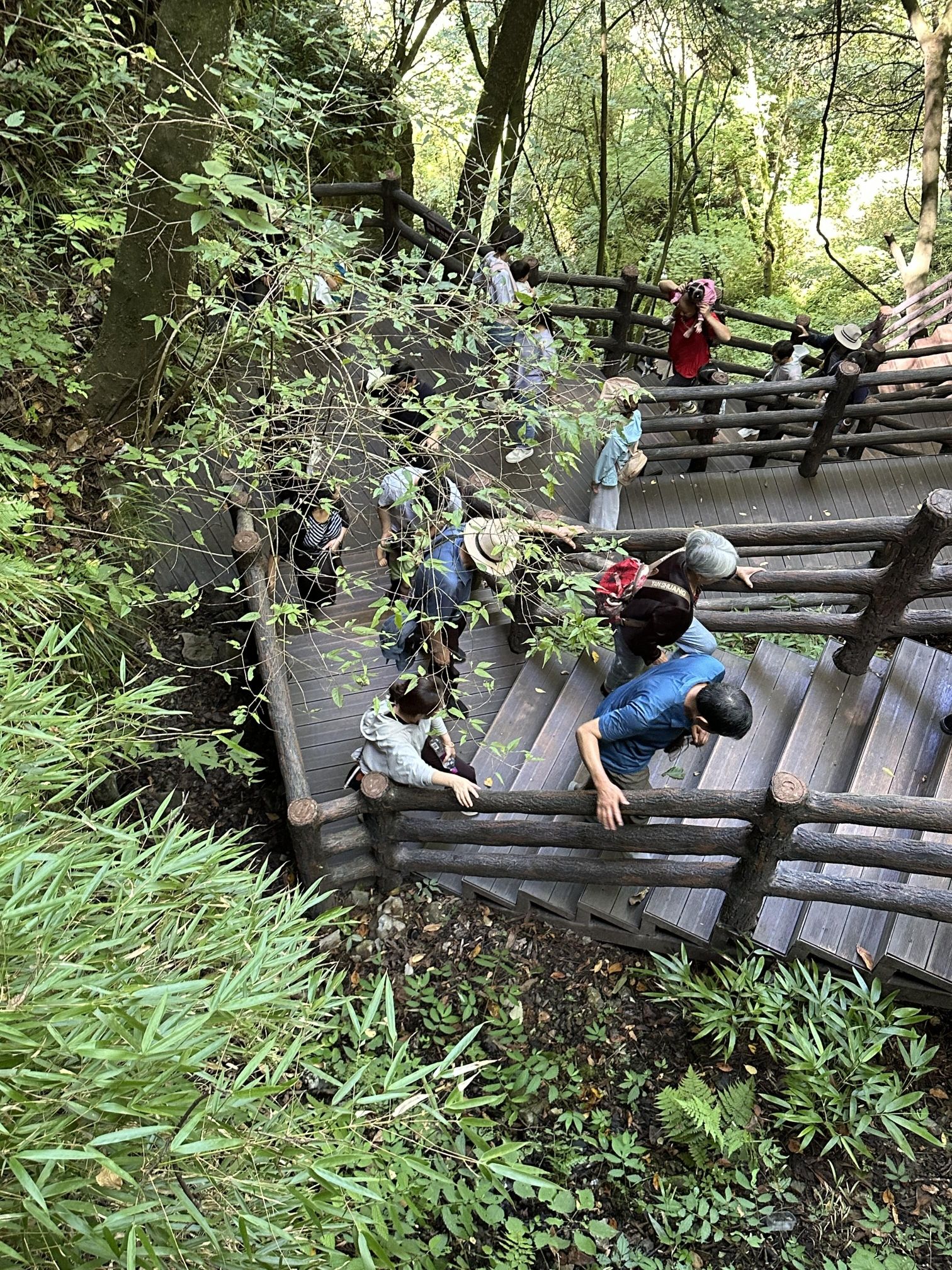曾家山旅游度假区旅行图片 2