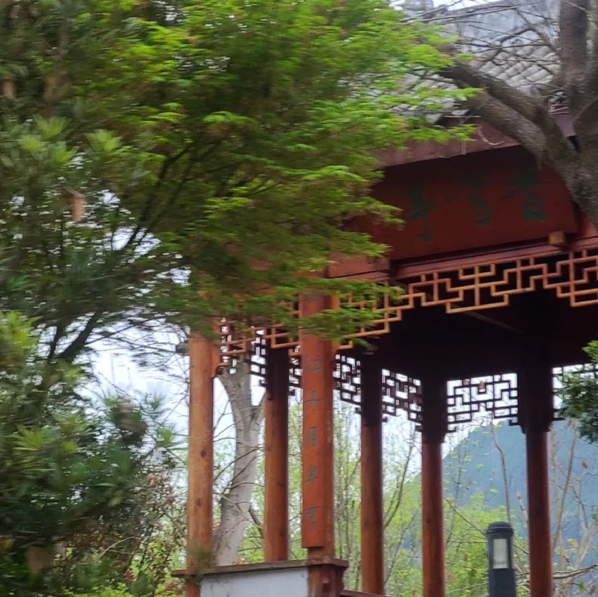 中国苍溪·梨文化博览园旅行图片 1