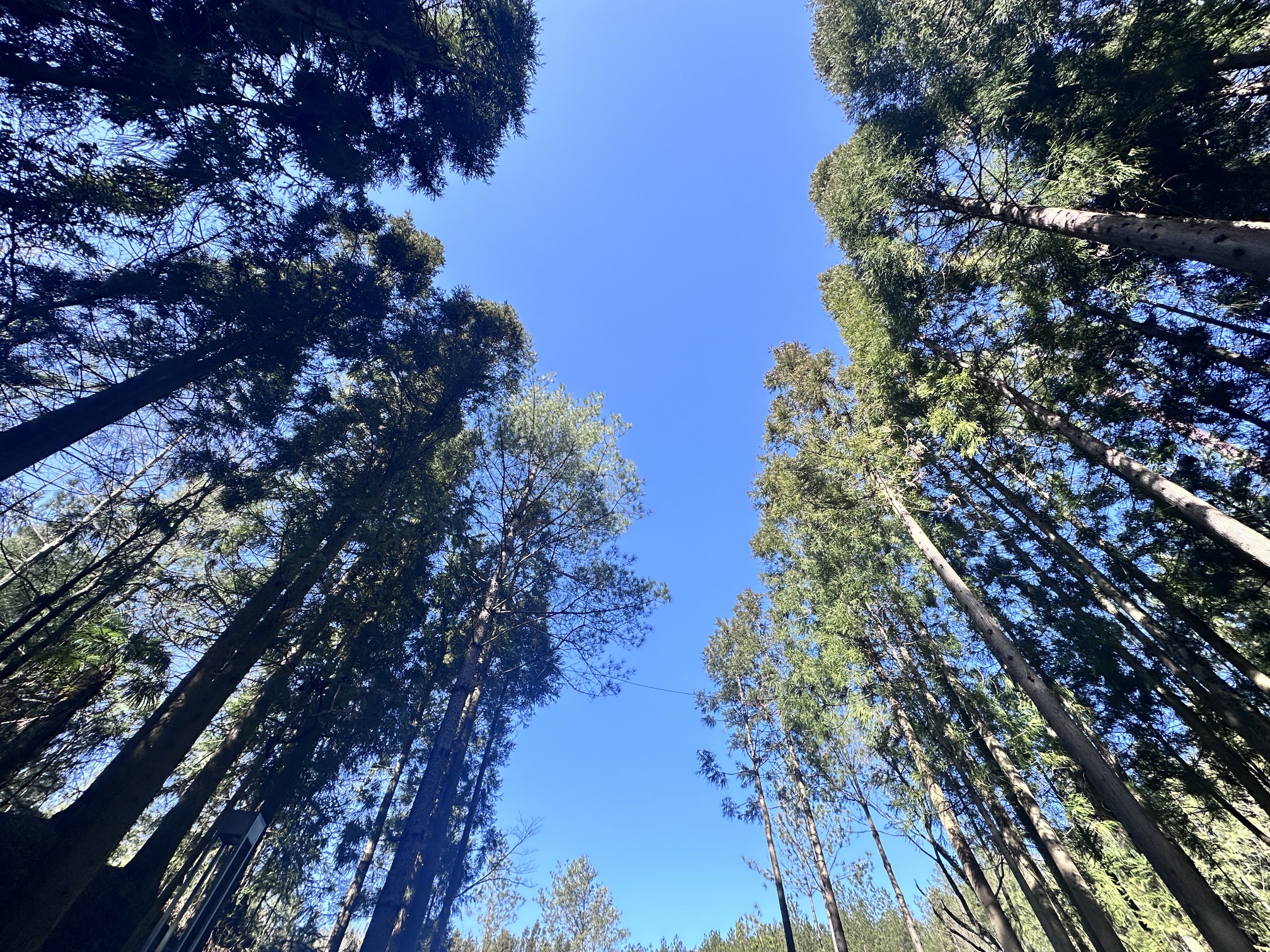 广元市天曌山景区旅行图片 3