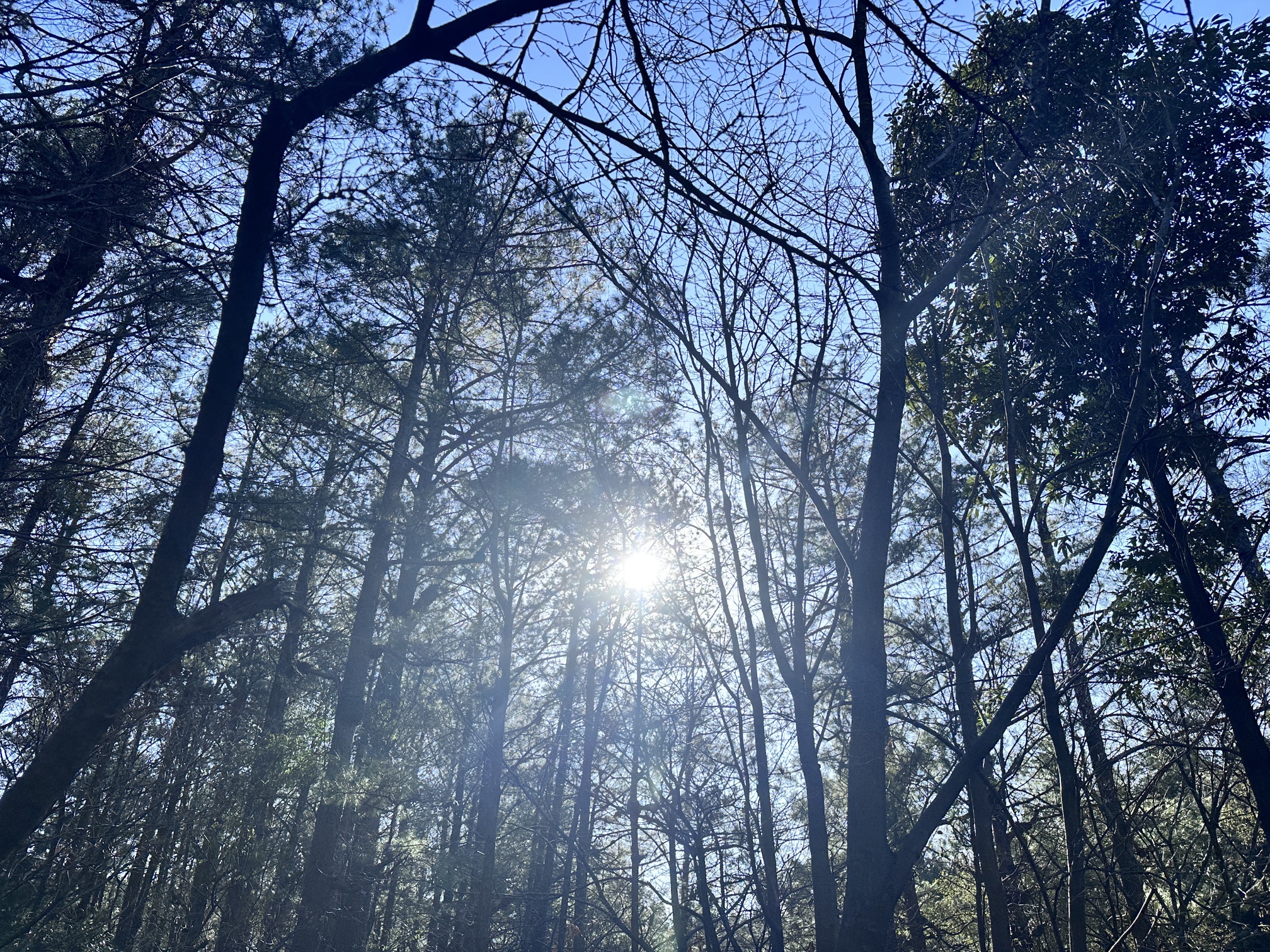 广元市天曌山景区旅行图片 1