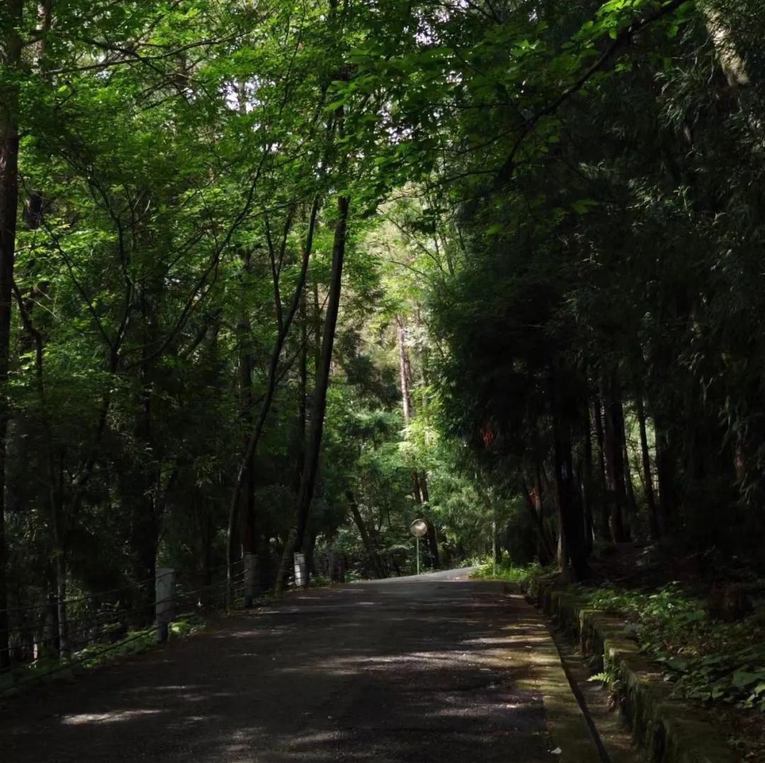 广元市天曌山景区旅行图片 3