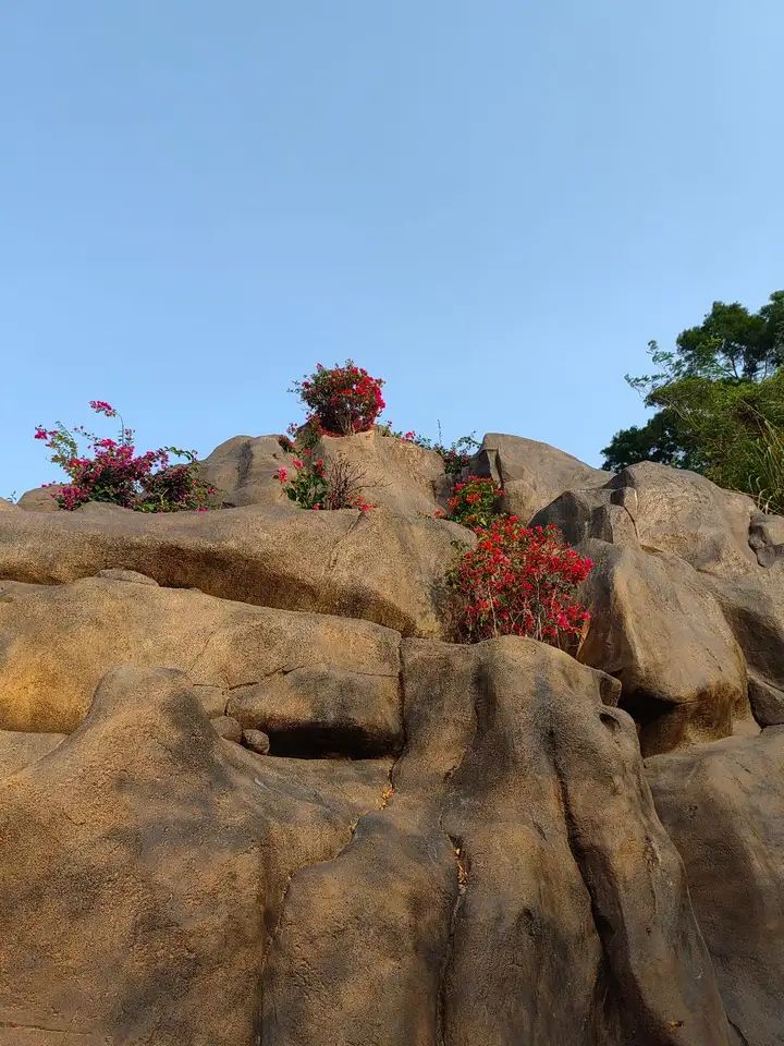 牛头山旅行图片 3