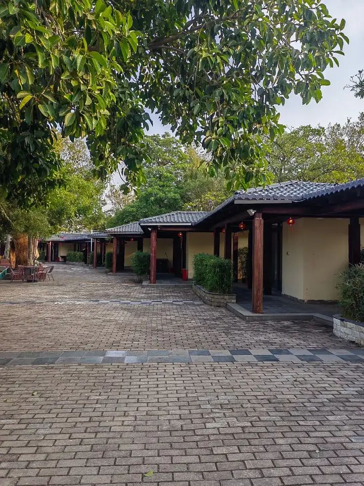 牛头山旅行图片 2
