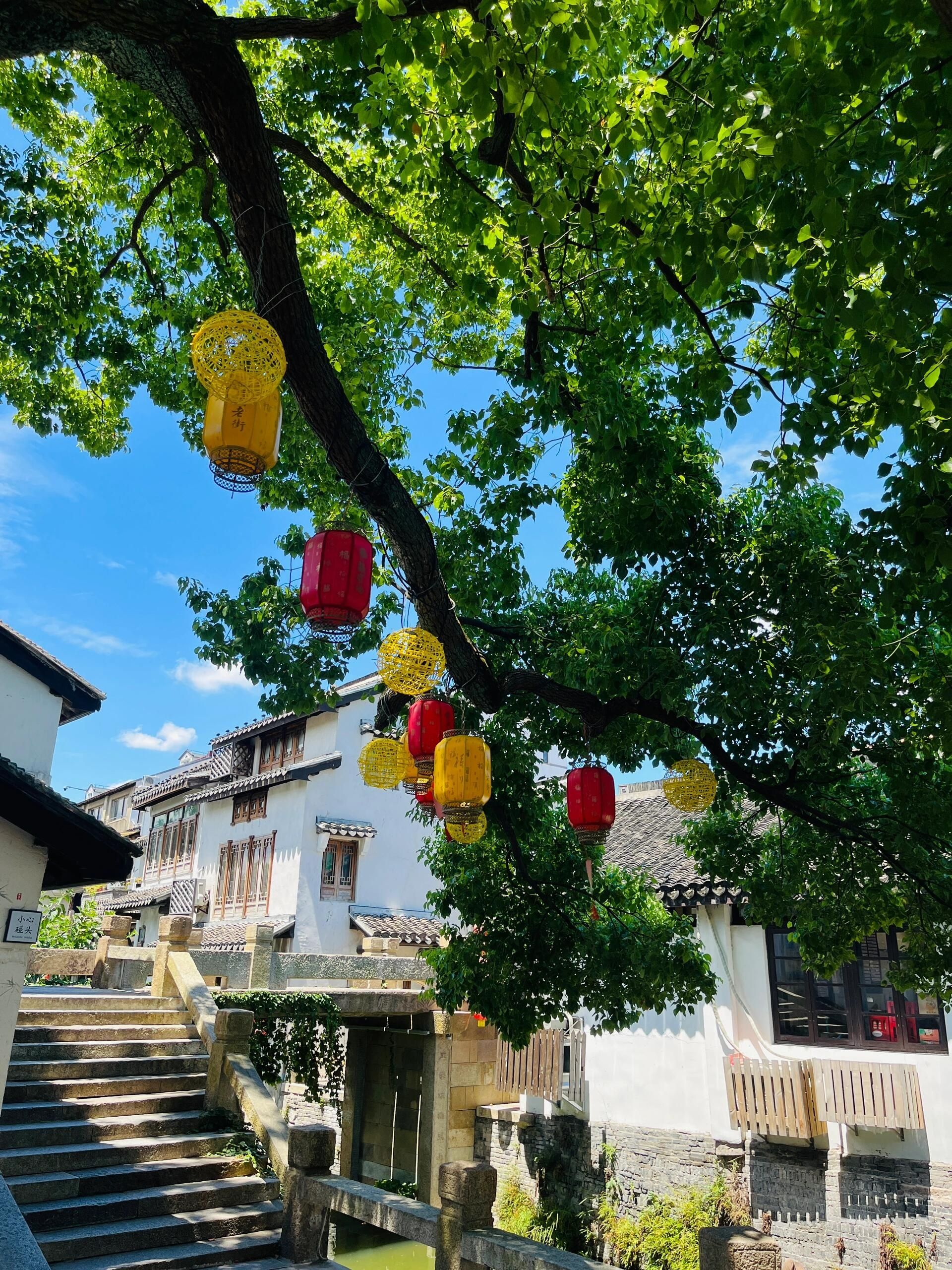 青溪古城旅行图片 2