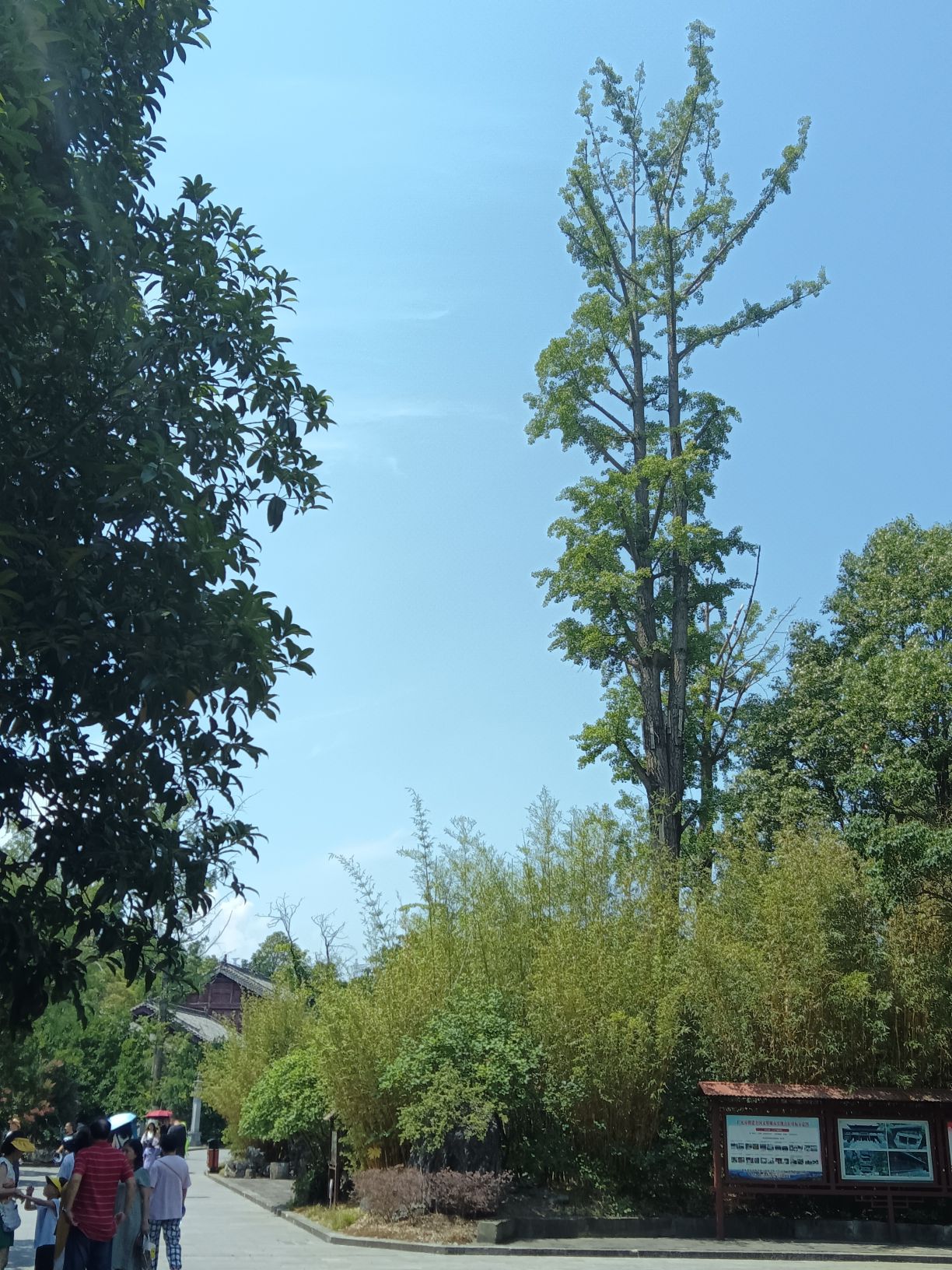 剑门蜀道遗址旅行图片 3