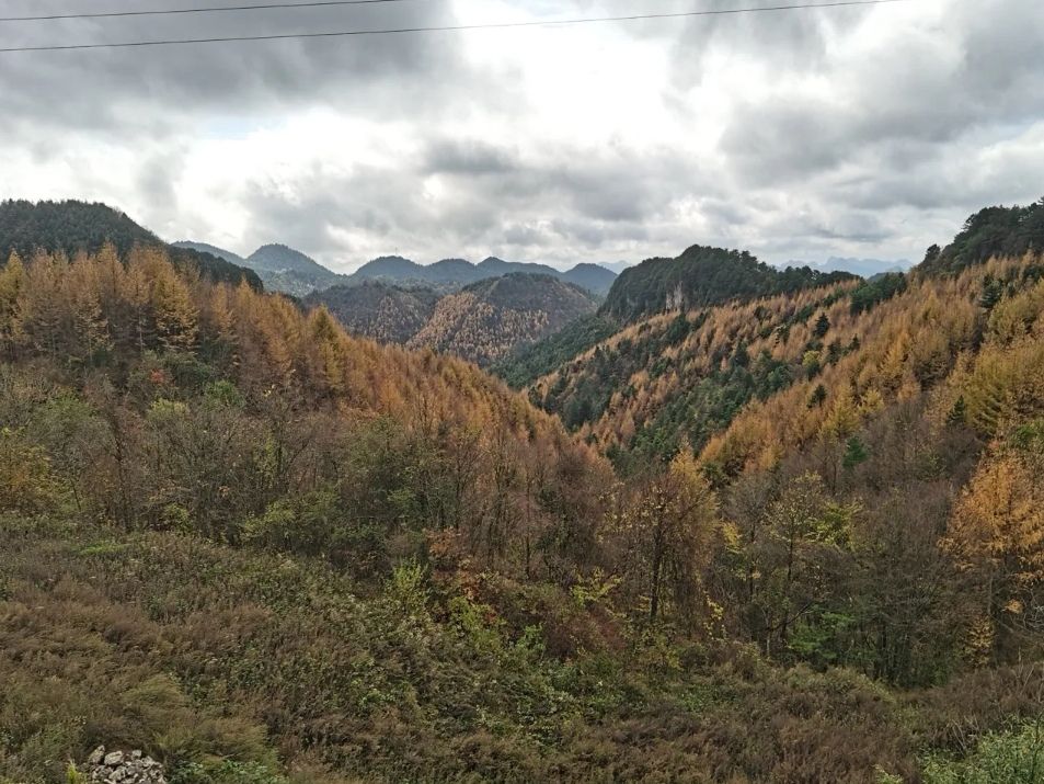曾家山鸳鸯池森林公园旅行图片 3