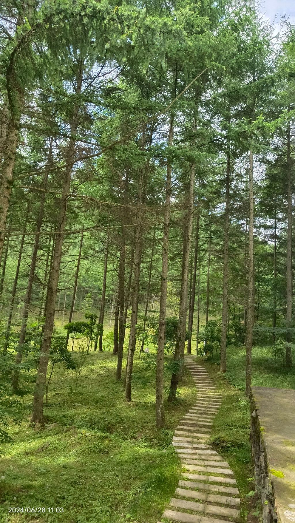 曾家山鸳鸯池森林公园旅行图片 3