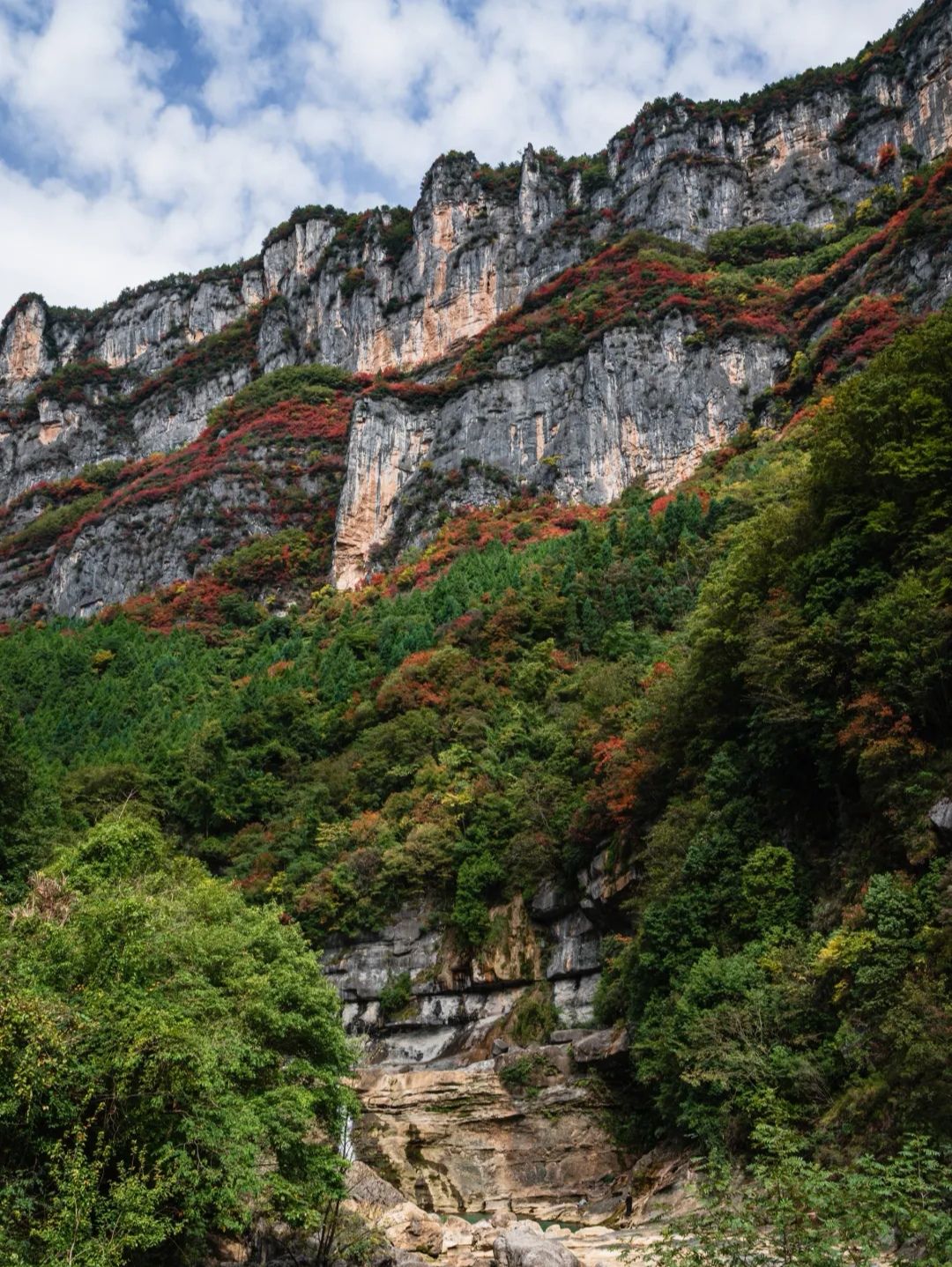 曾家山鸳鸯池森林公园旅行图片 2