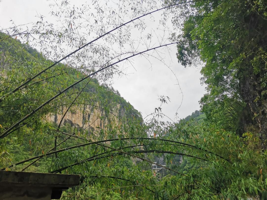 渔洞峡旅行图片 1