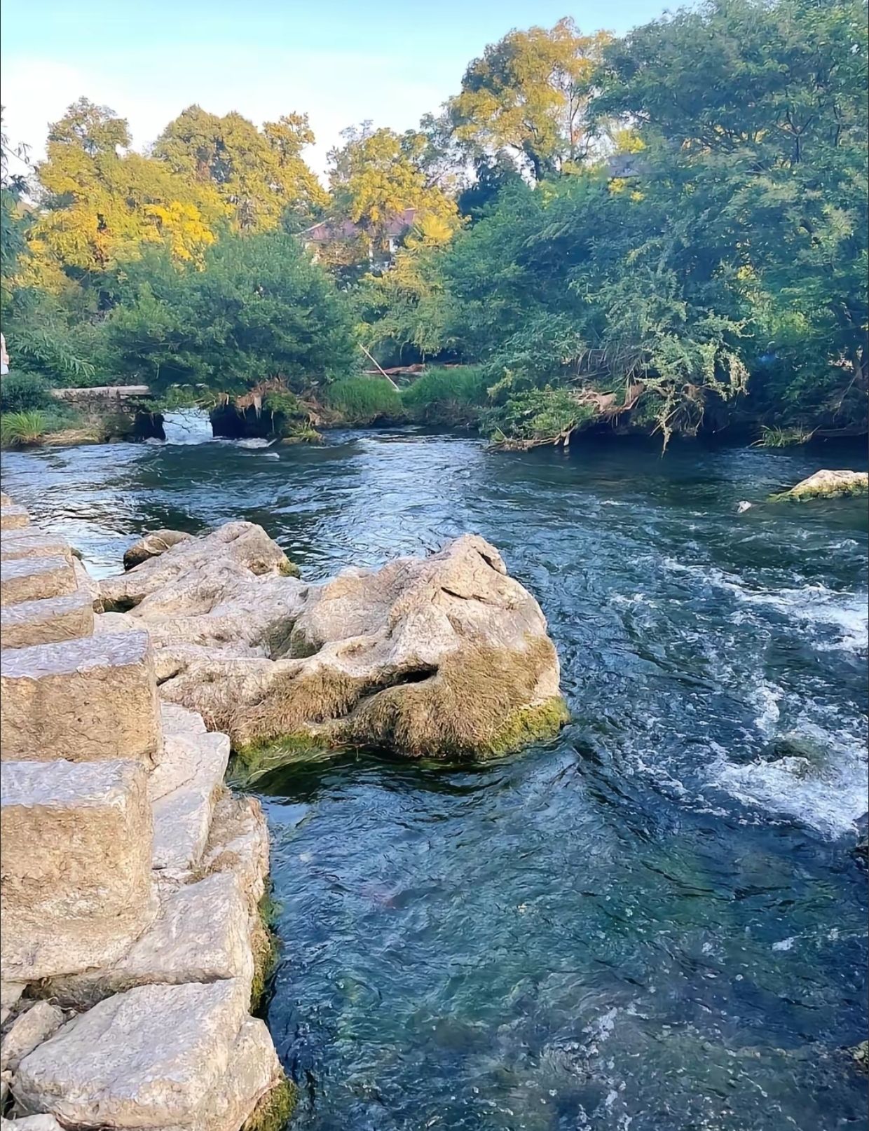 花溪公园旅行图片 1