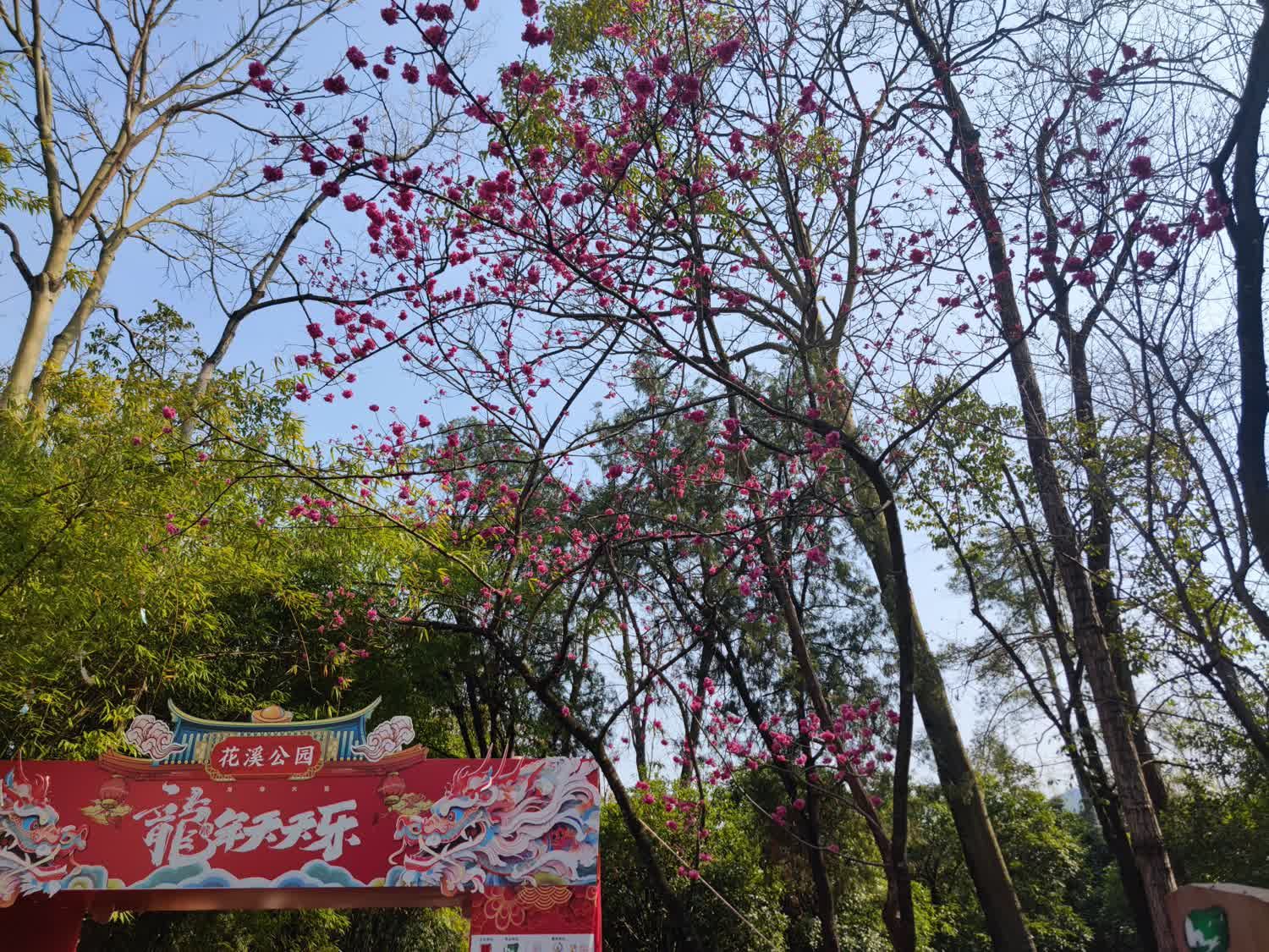 花溪公园旅行图片 3