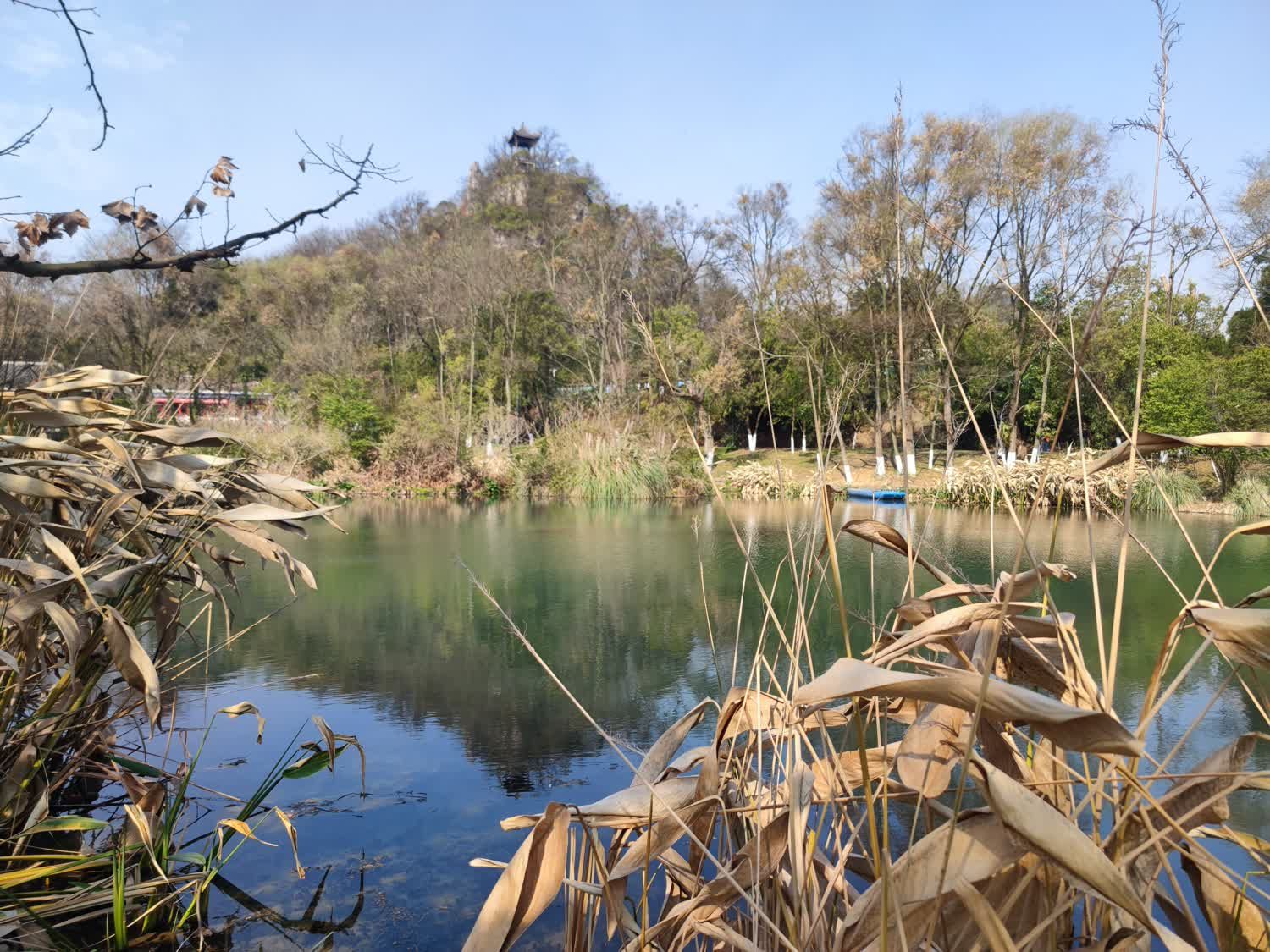 花溪公园旅行图片 2