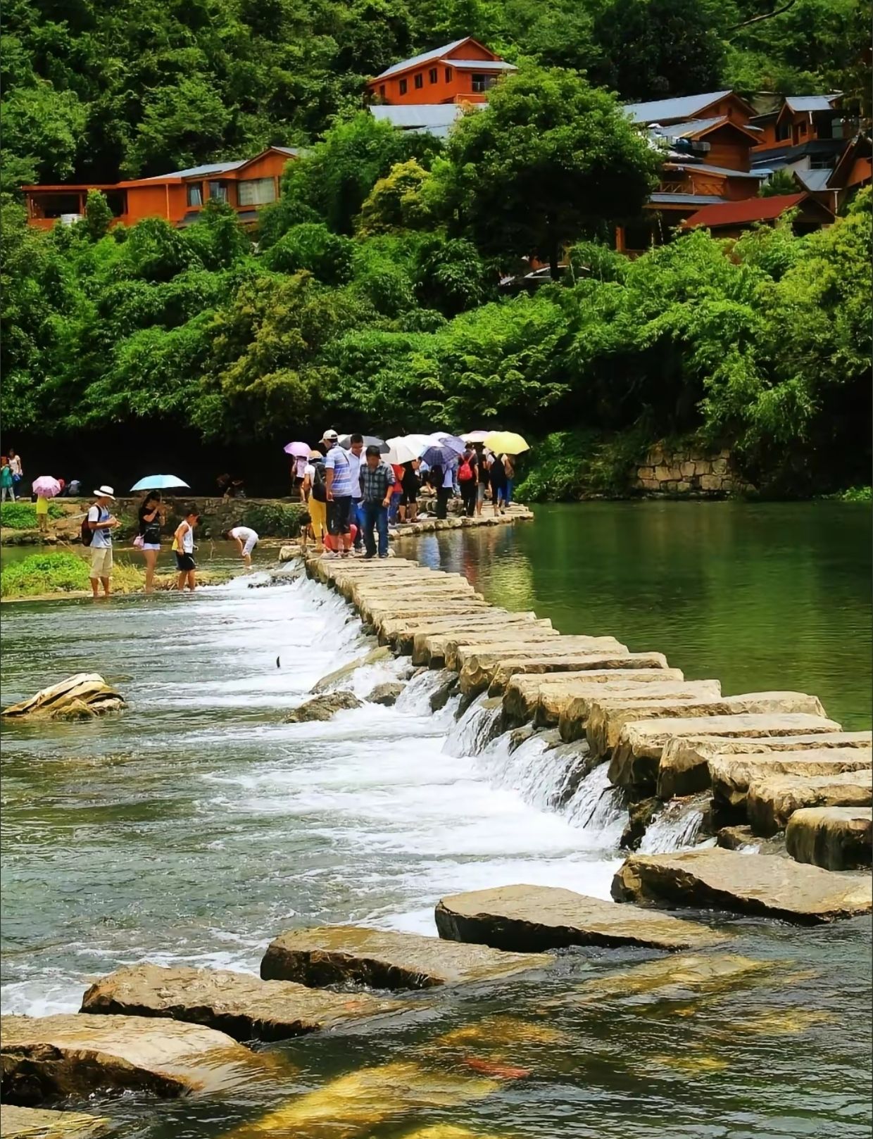 花溪公园旅行图片 2