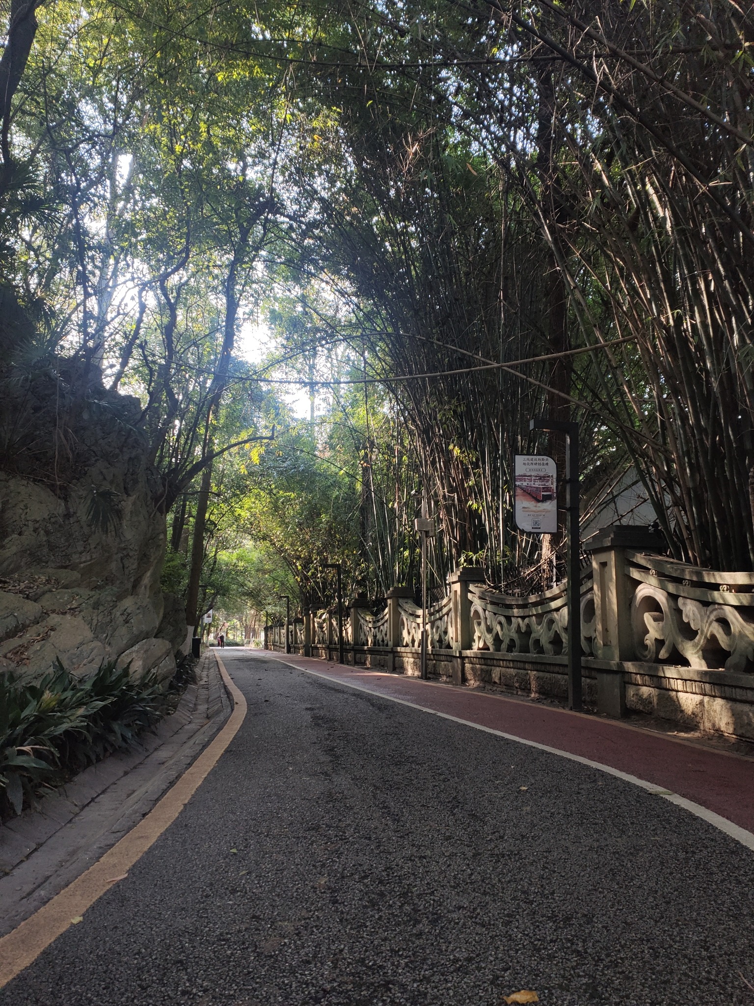 花溪公园旅行图片 3