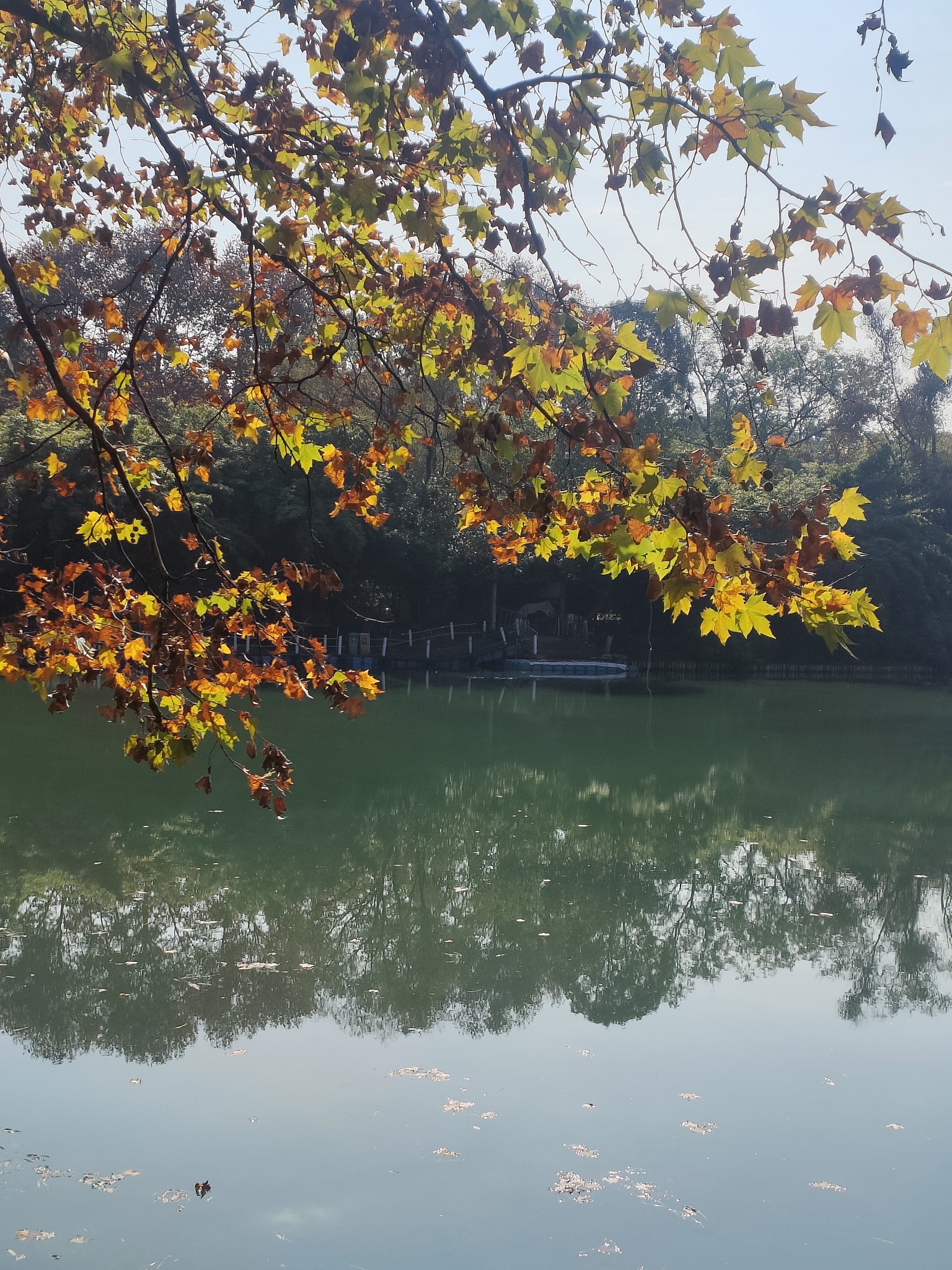 花溪公园旅行图片 2