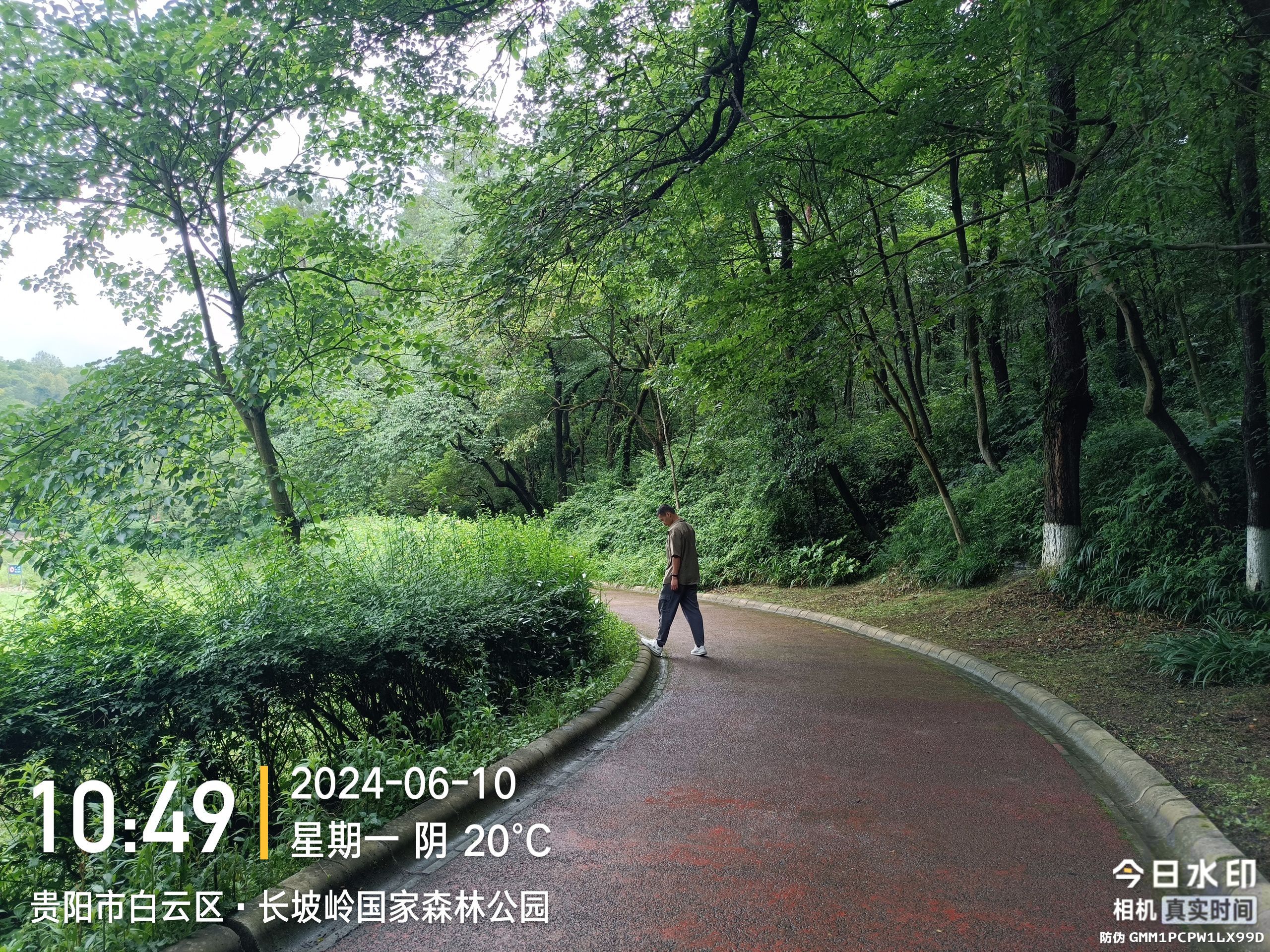 长坡岭国家森林公园旅行图片 2