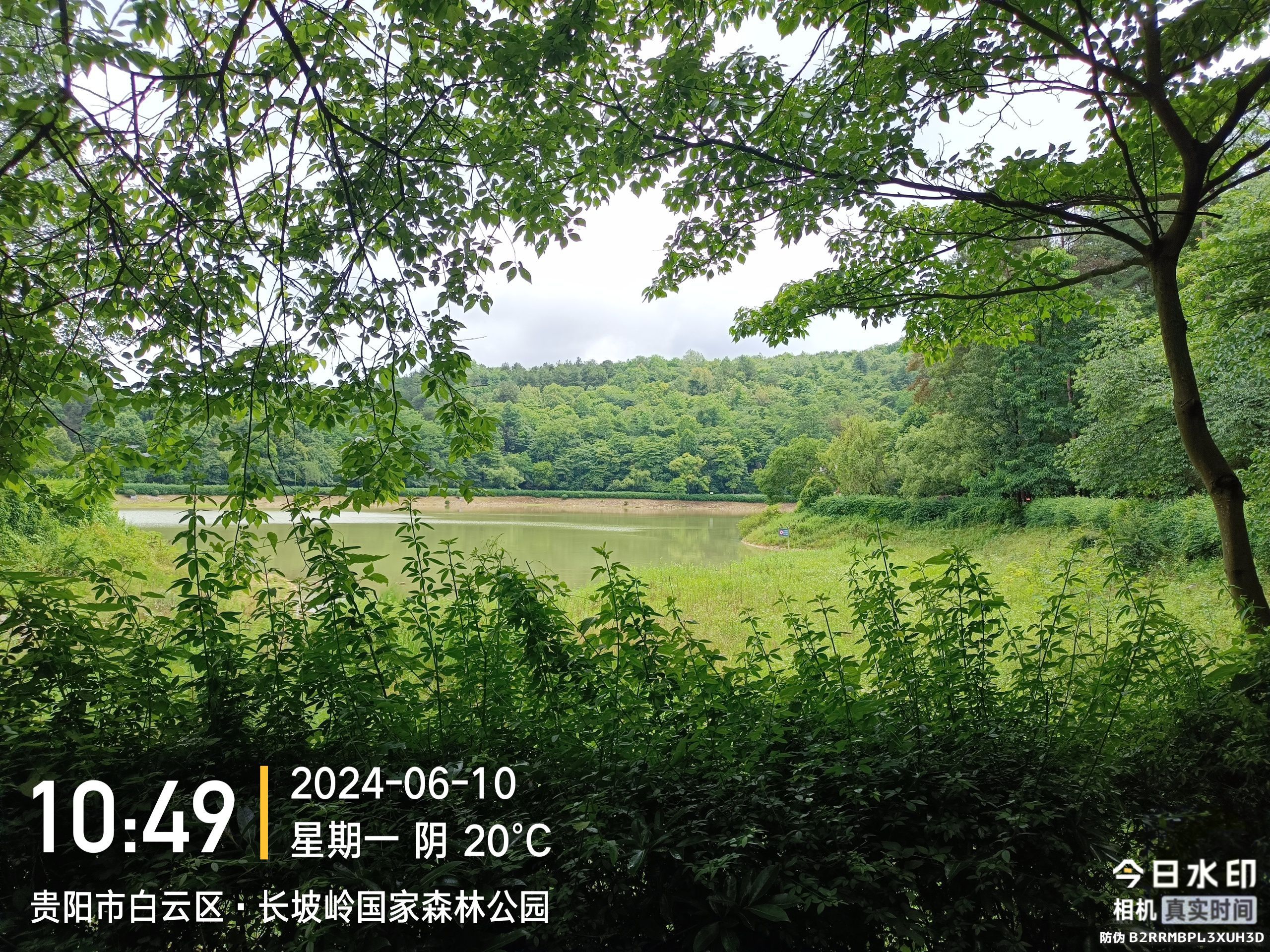 长坡岭国家森林公园旅行图片 1