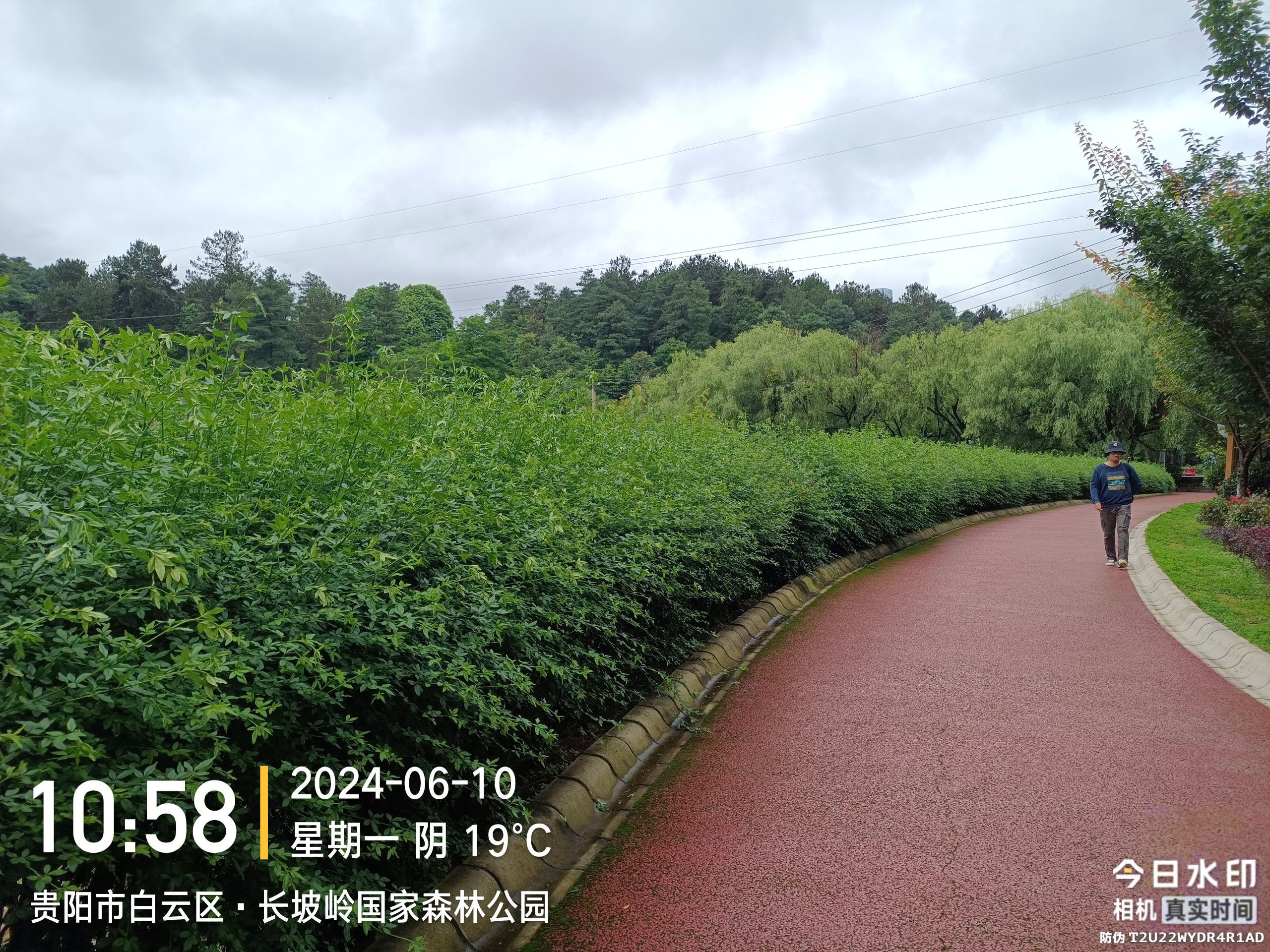 长坡岭国家森林公园旅行图片 3