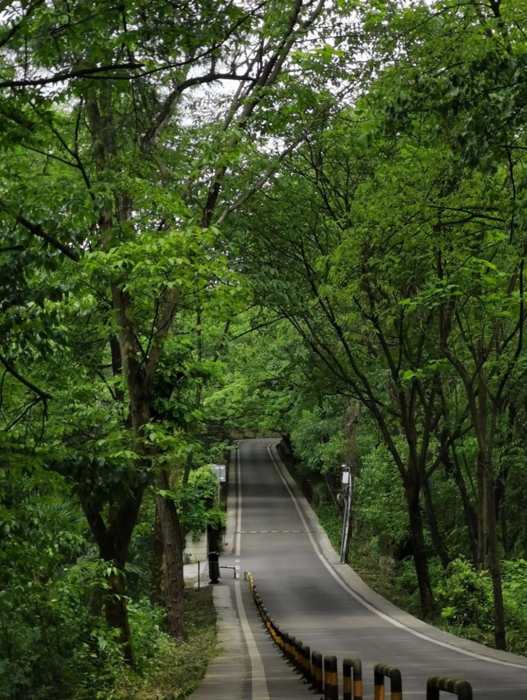 长坡岭国家森林公园旅行图片 1