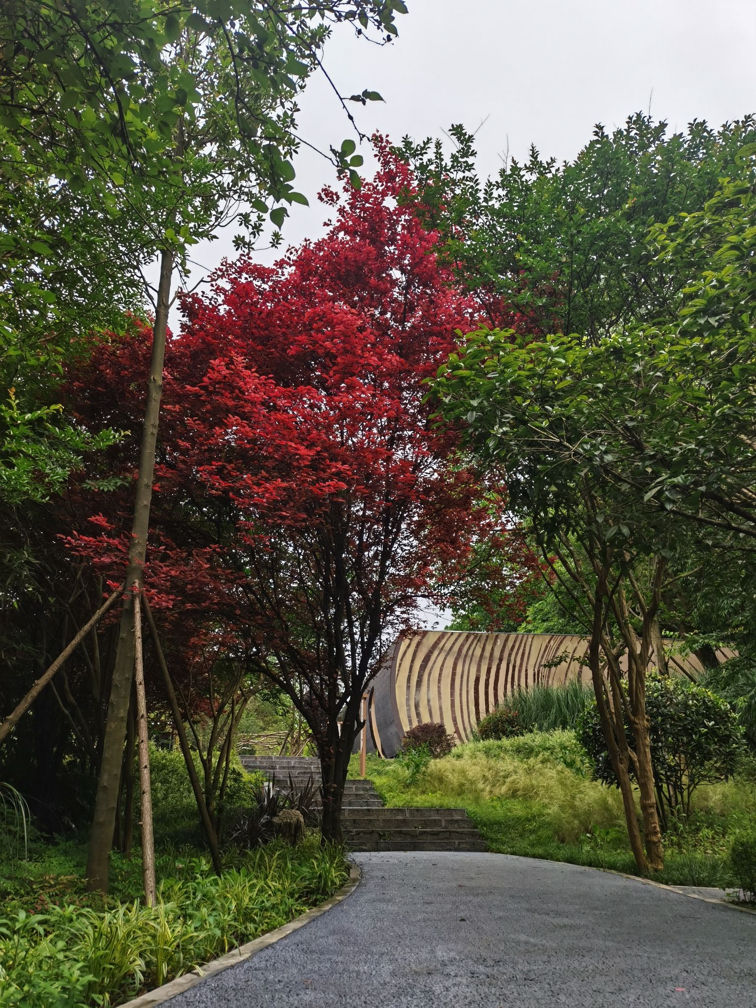 长坡岭国家森林公园旅行图片 3