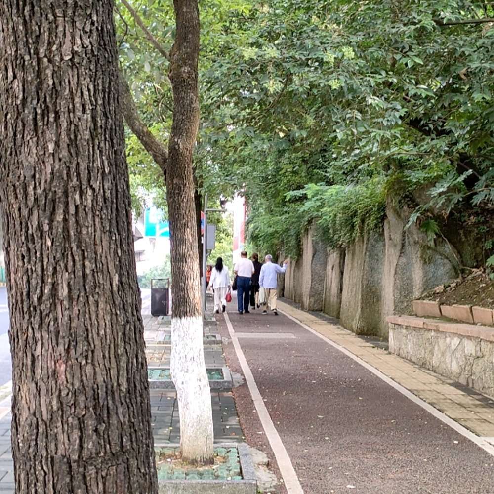 塔山公园旅行图片 1