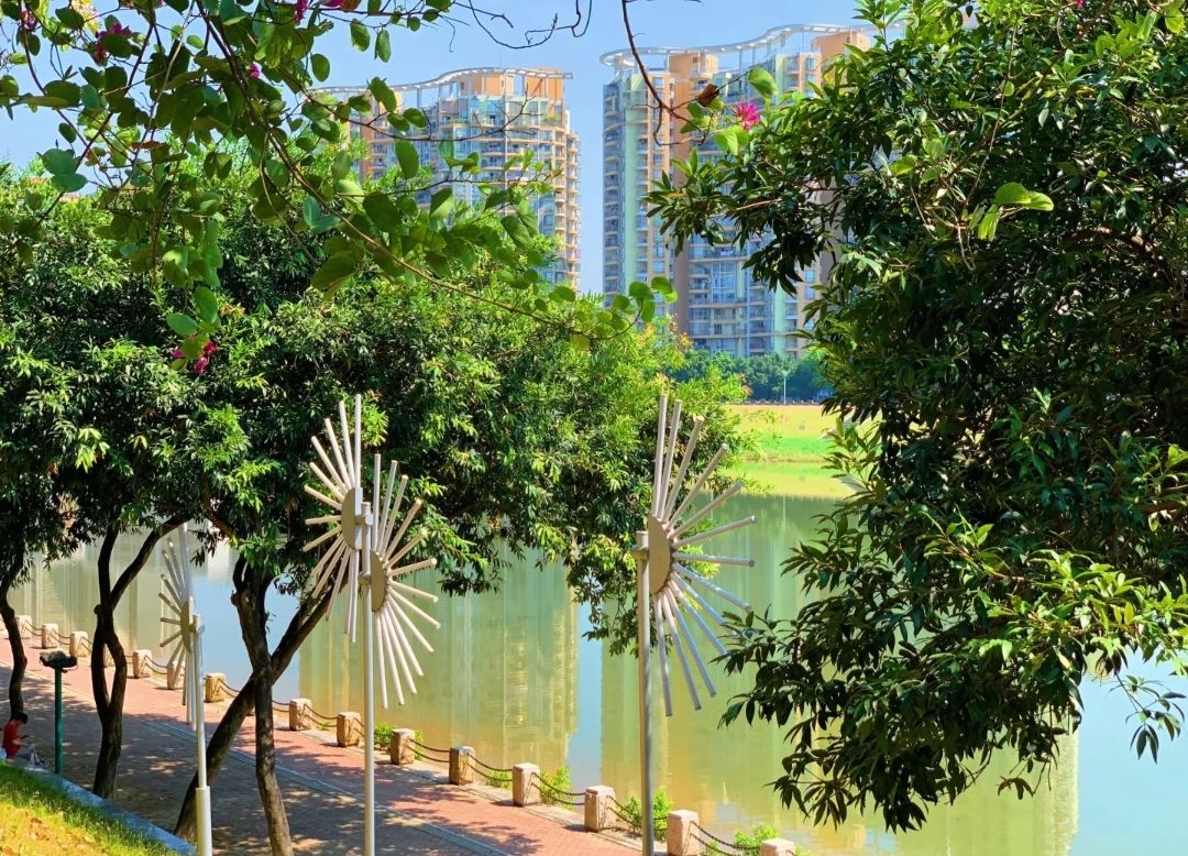河滨公园旅行图片 3