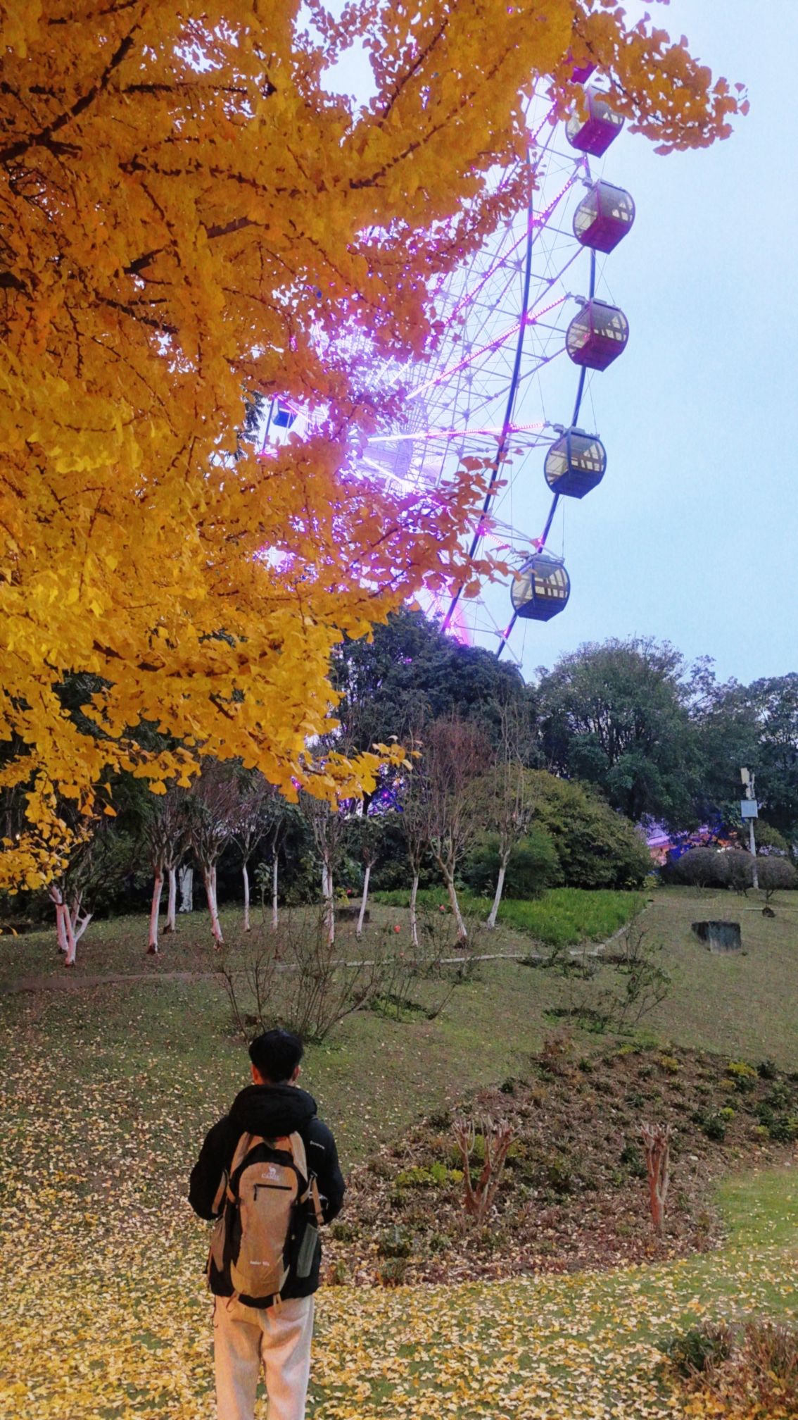 河滨公园旅行图片 3