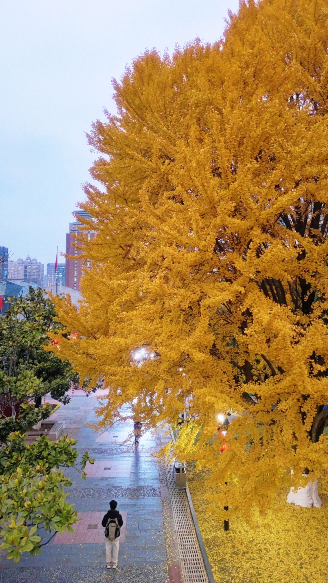河滨公园旅行图片 2