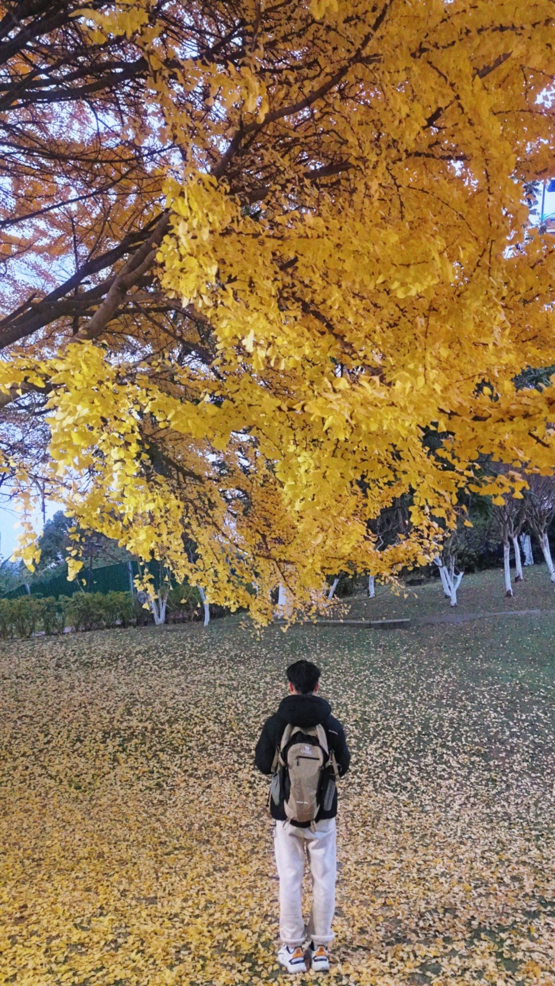 河滨公园旅行图片 1