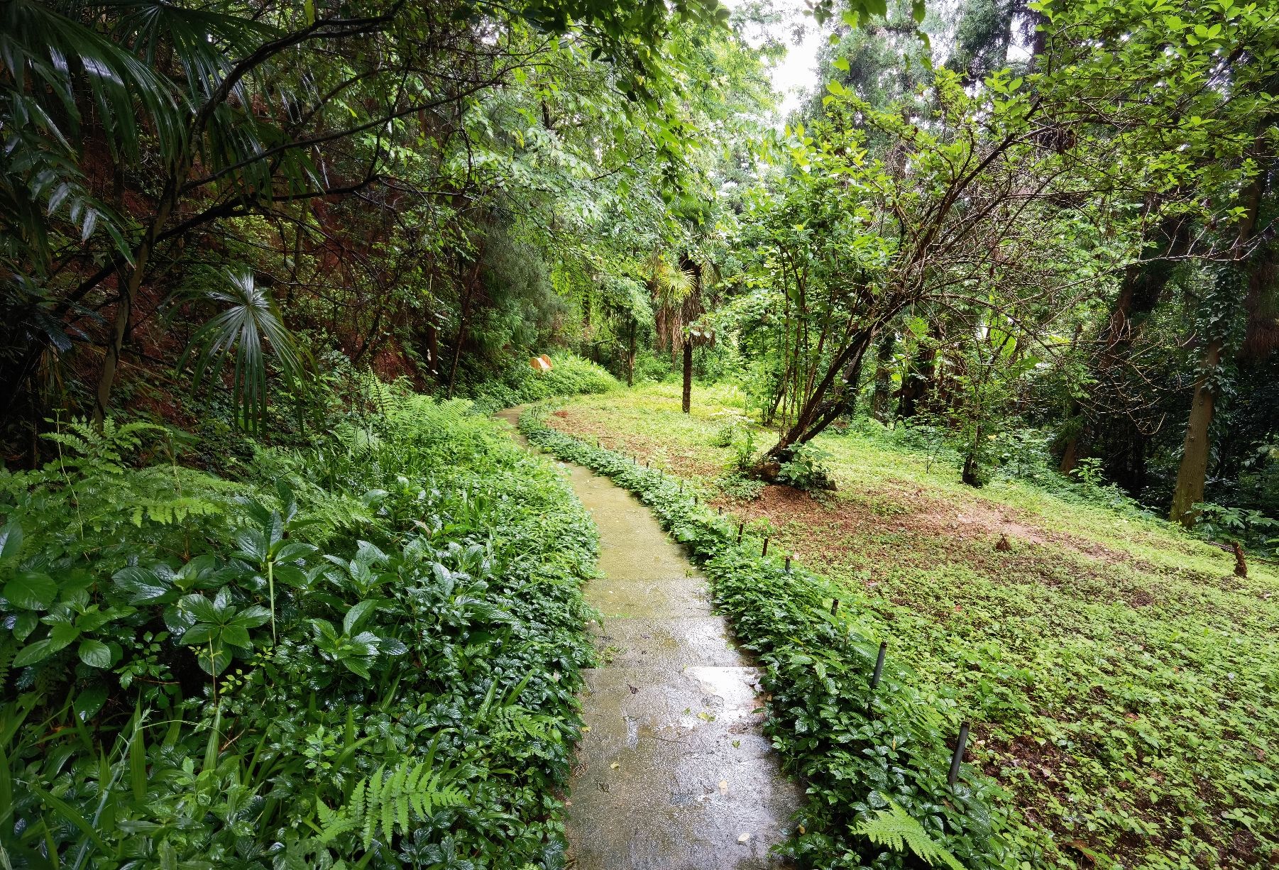 贵阳药用植物园旅行图片 2