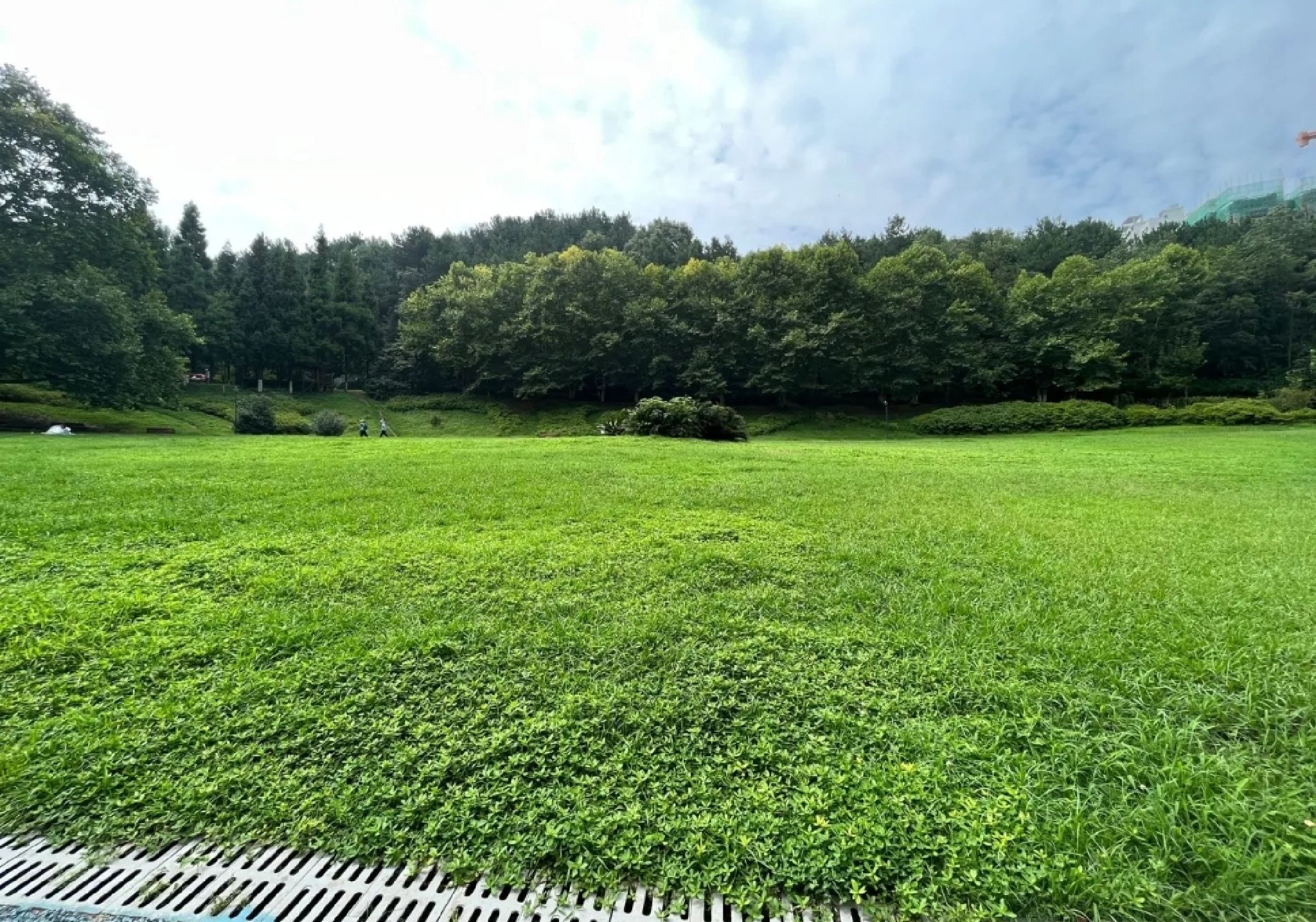 贵阳药用植物园旅行图片 1