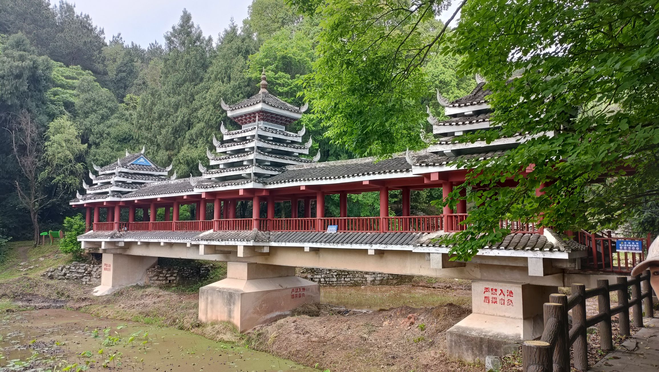 贵阳药用植物园旅行图片 2