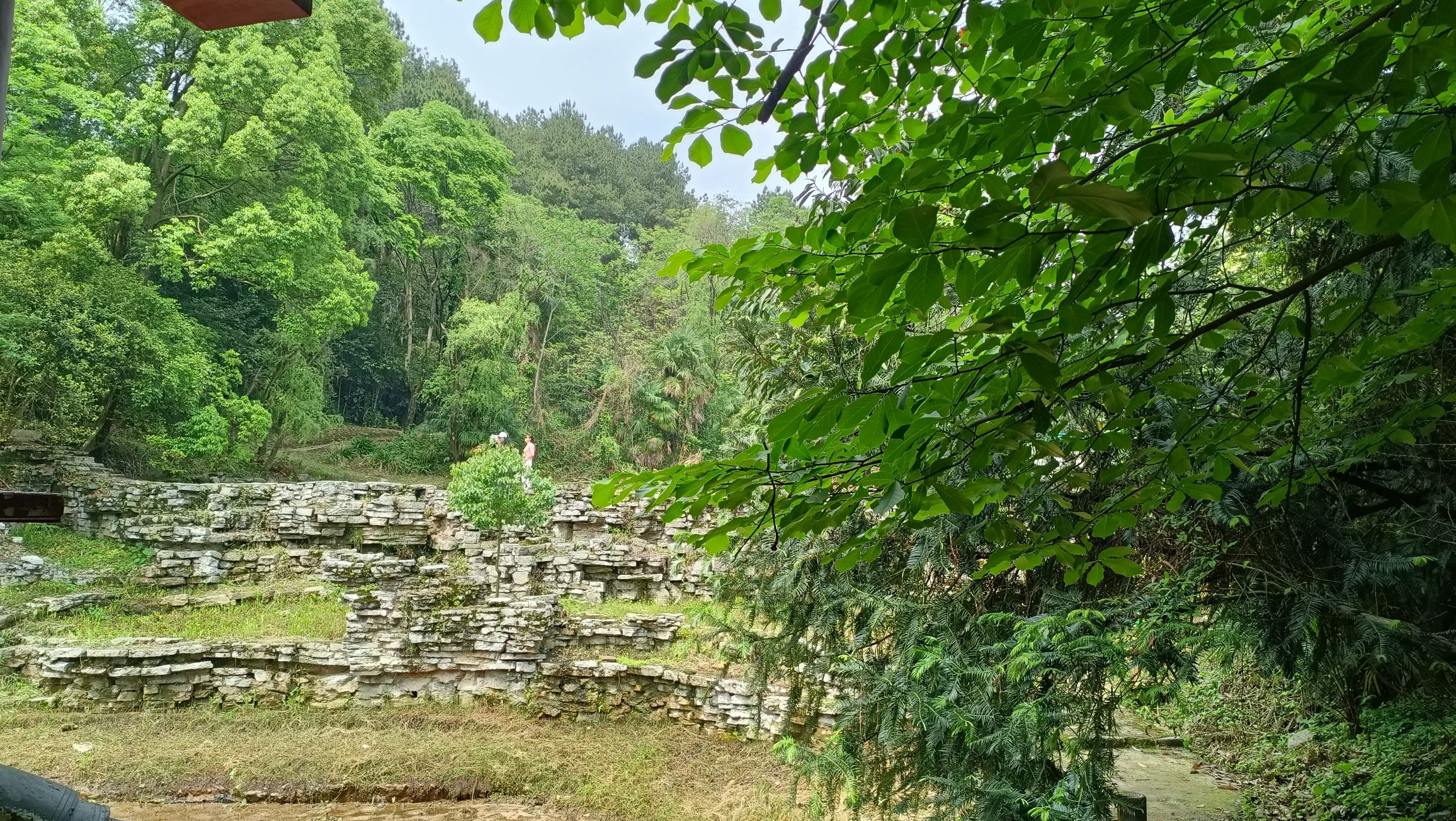 贵阳药用植物园旅行图片 3
