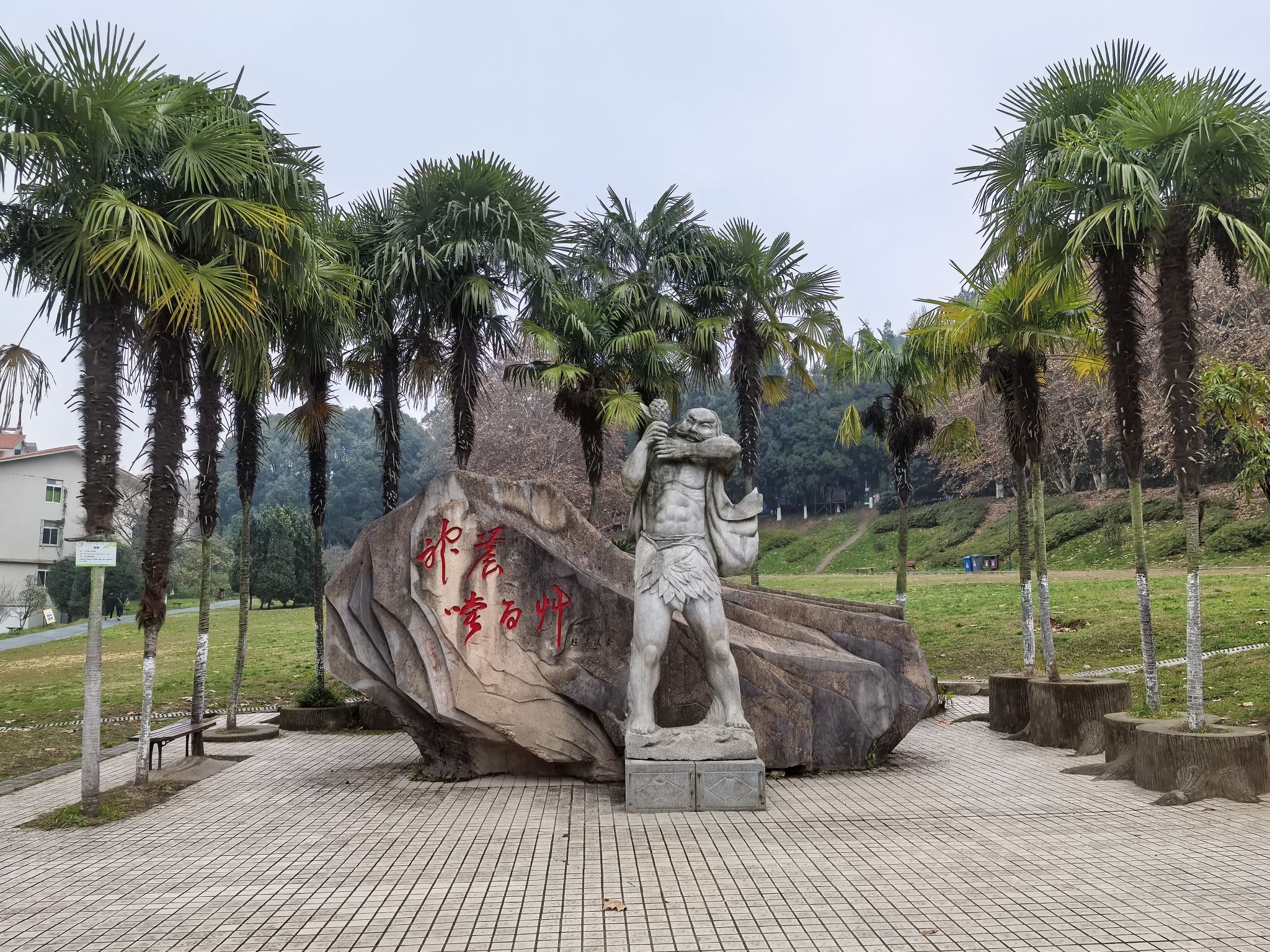 贵阳药用植物园旅行图片 3