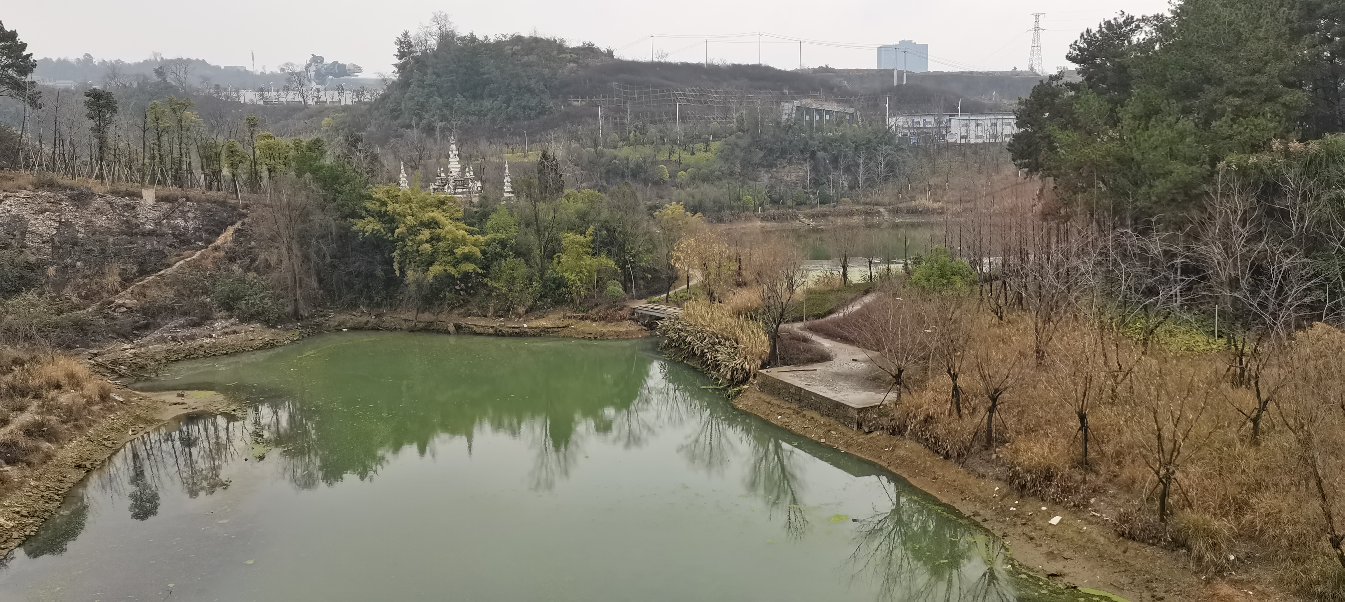 版纳园旅行图片 2