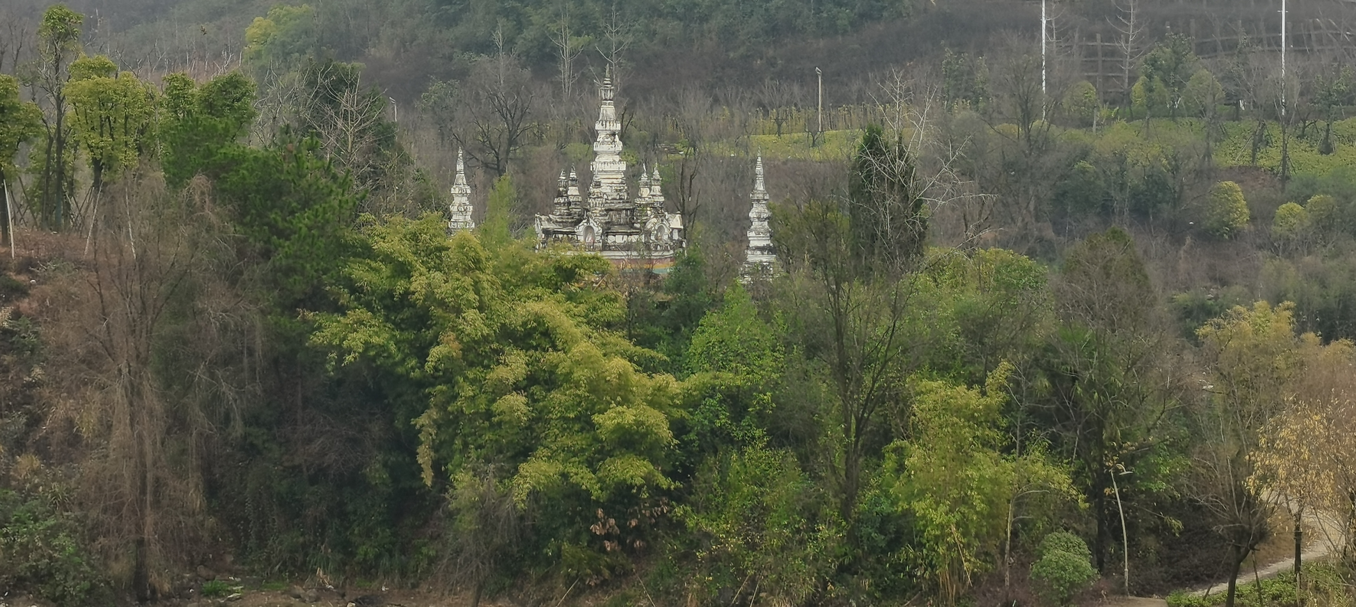 版纳园旅行图片 1