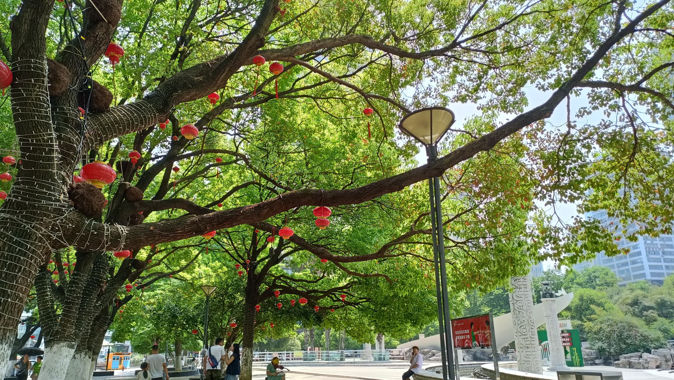 大十字广场旅行图片 2