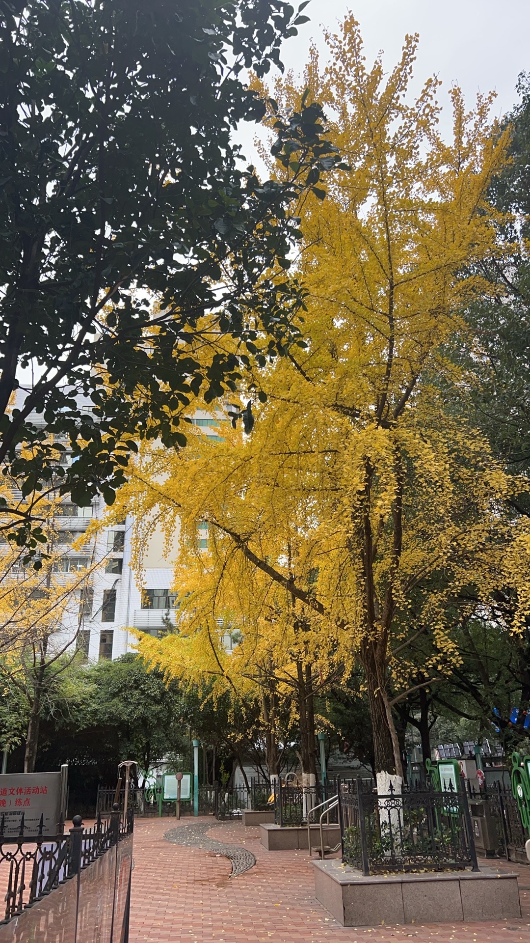 云岩禁毒文化广场旅行图片 2