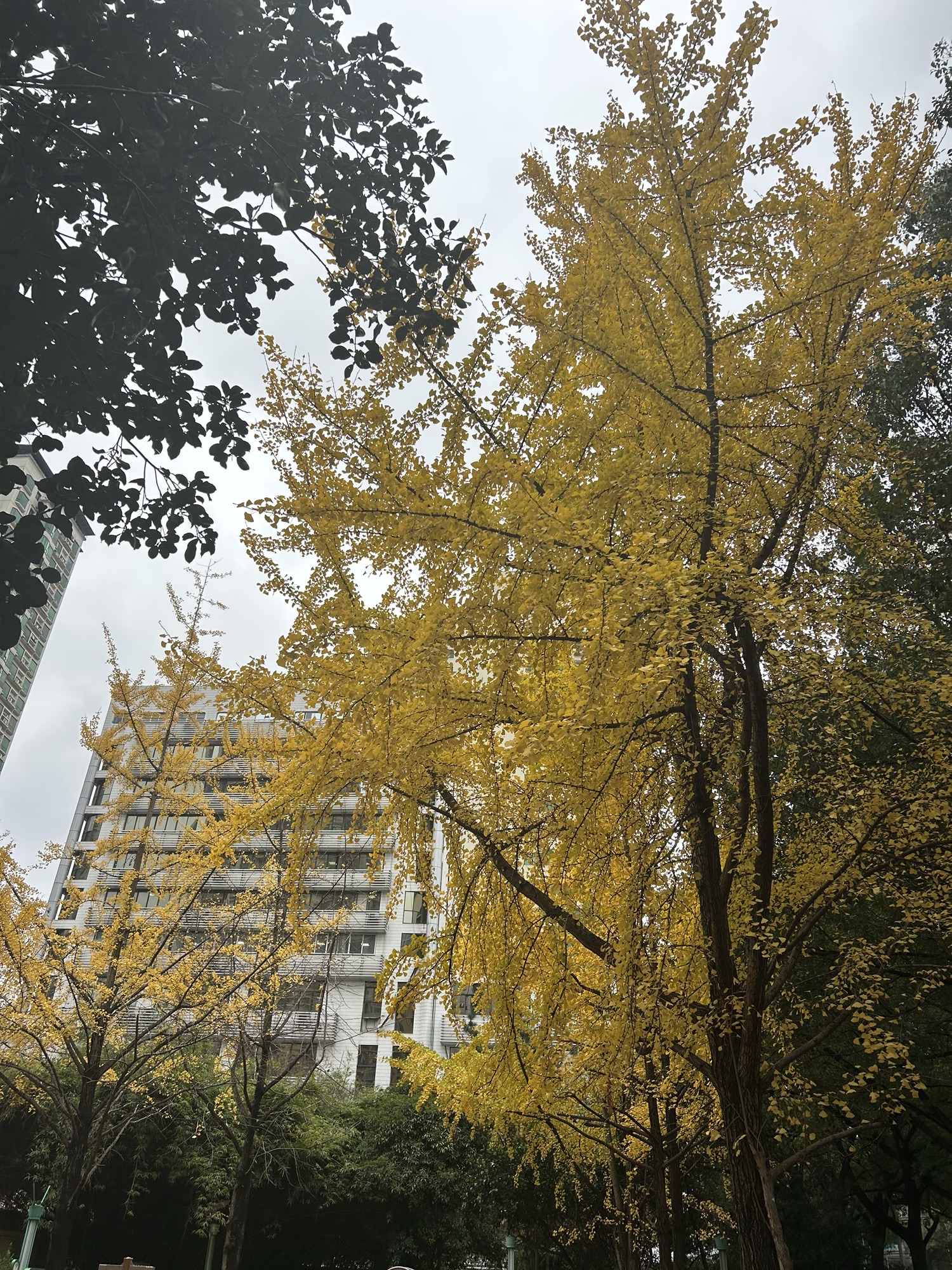 云岩禁毒文化广场旅行图片 3