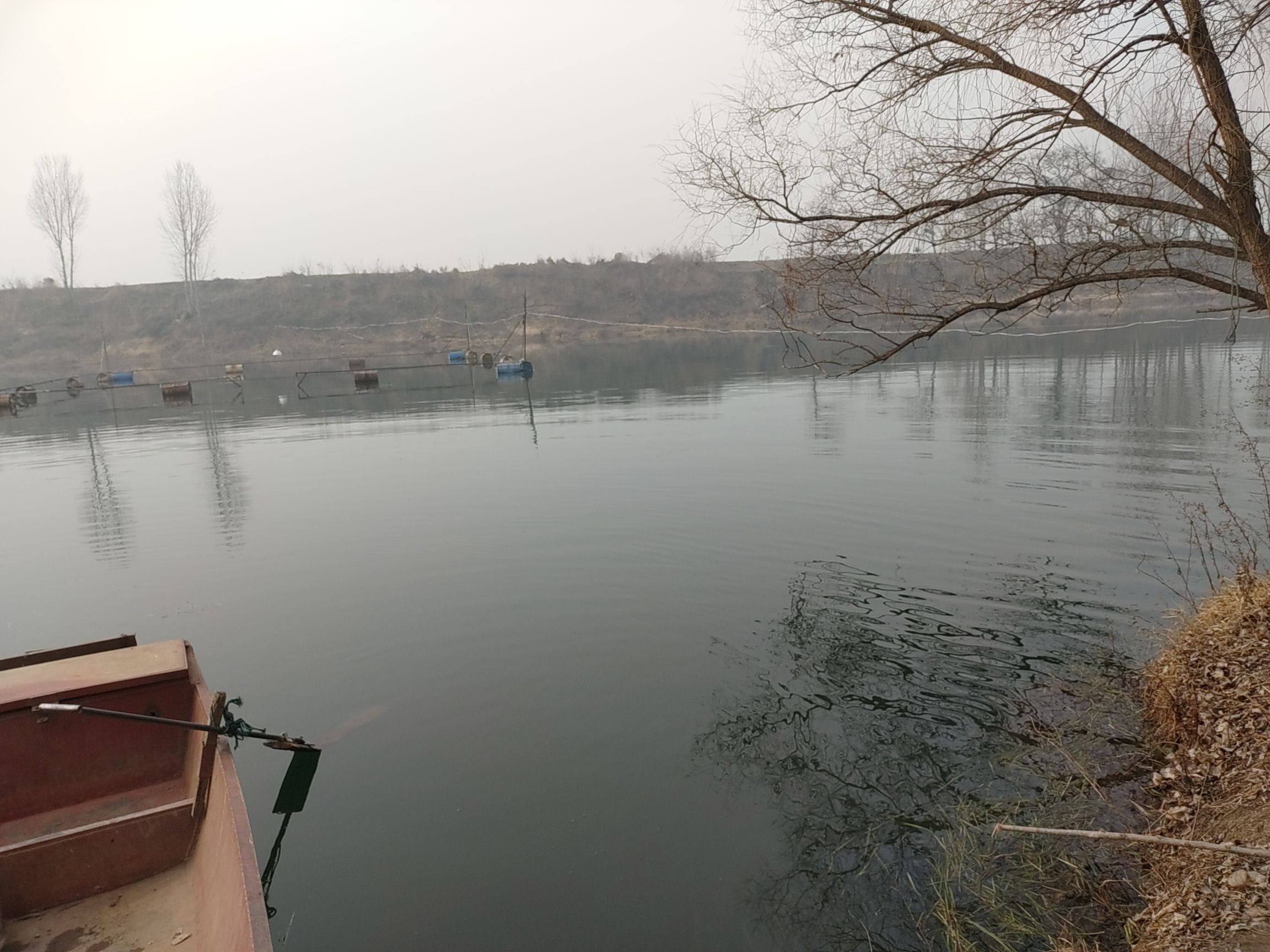 天鹅湖景区旅行图片 1