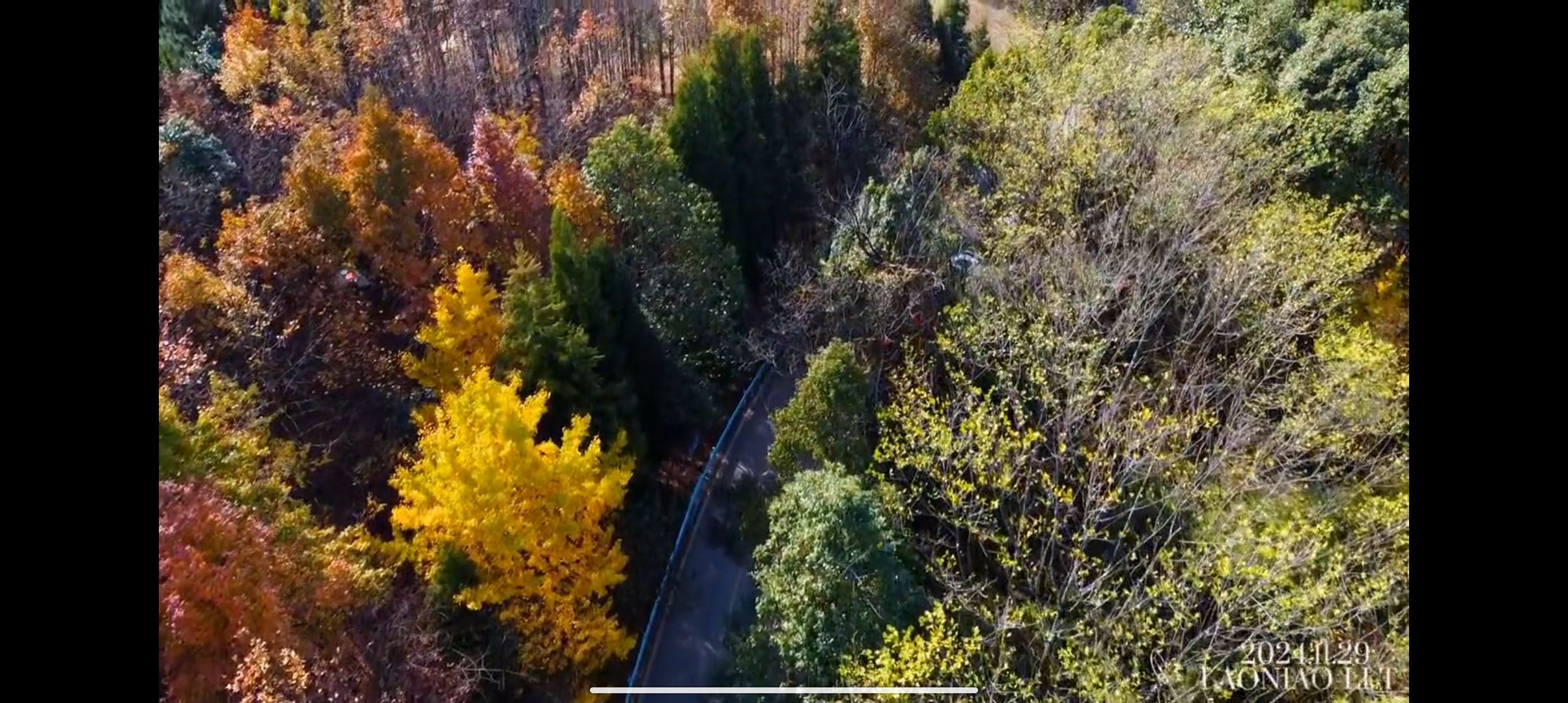 天鹅湖景区旅行图片 1