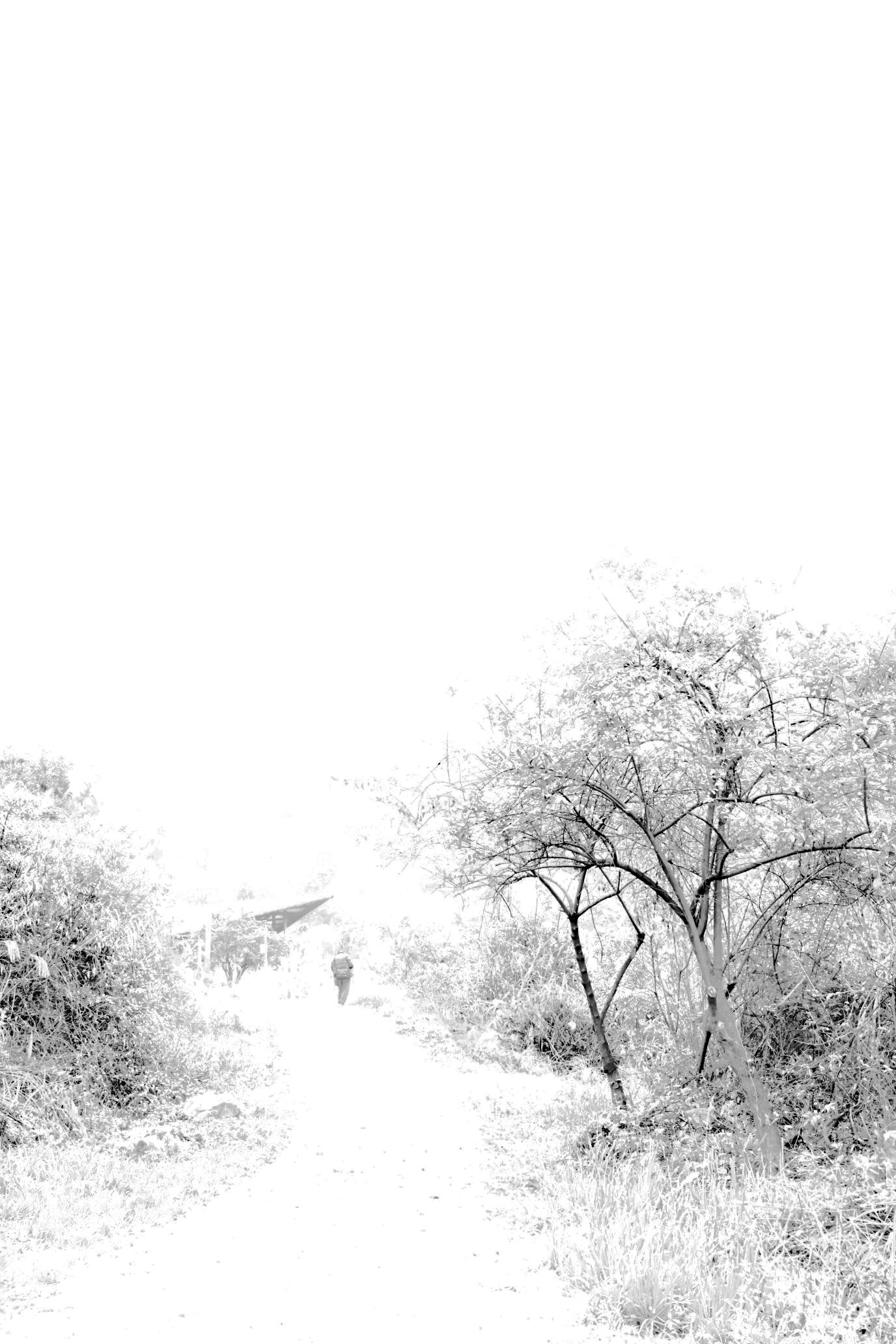 绕拢峡谷旅行图片 1