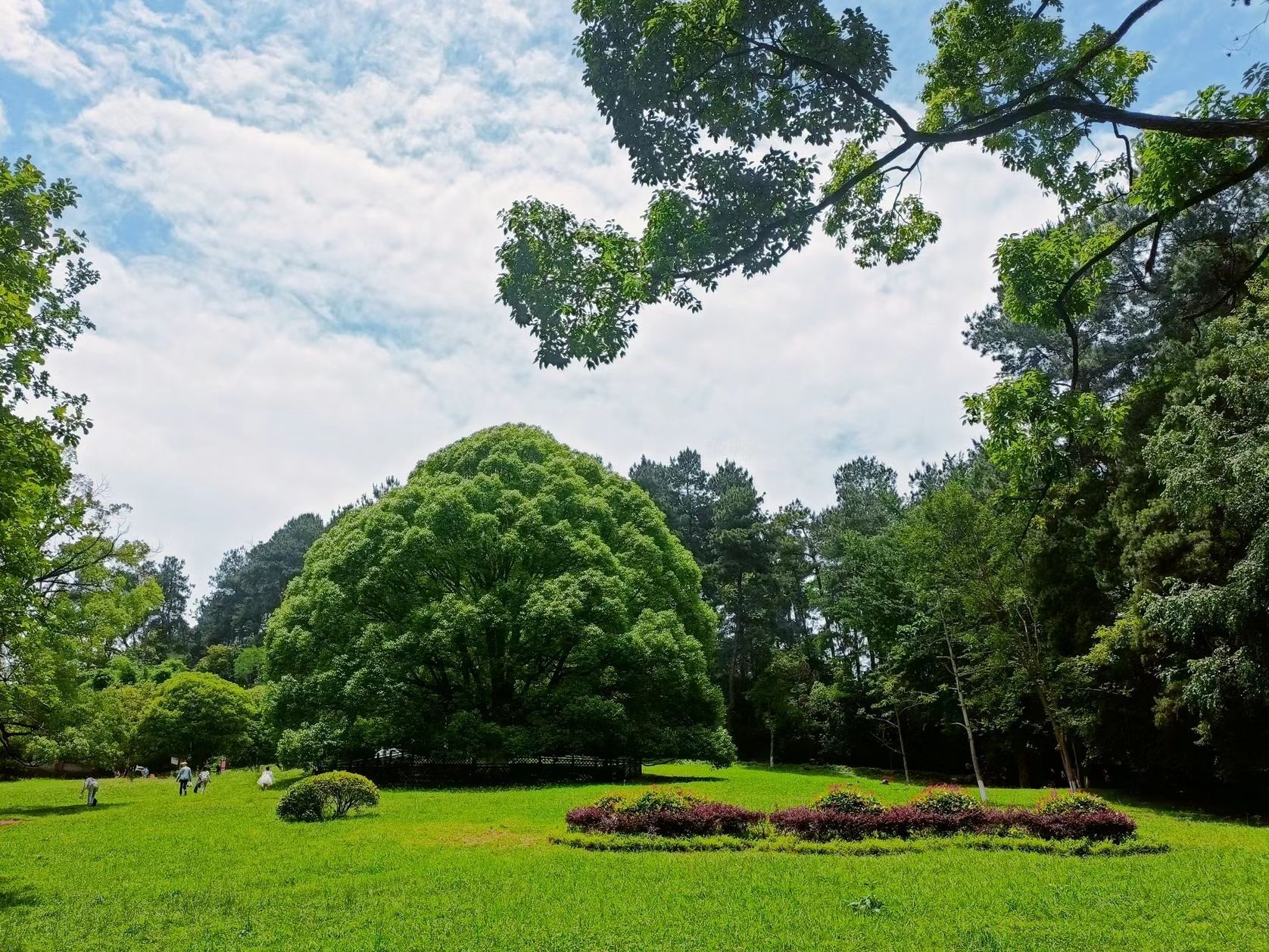 贵阳市森林公园旅行图片 2