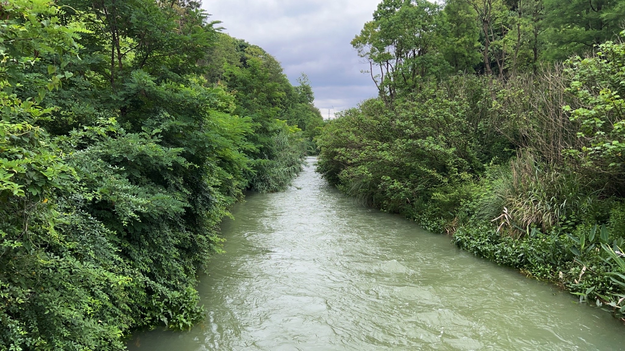 贵阳市森林公园旅行图片 1