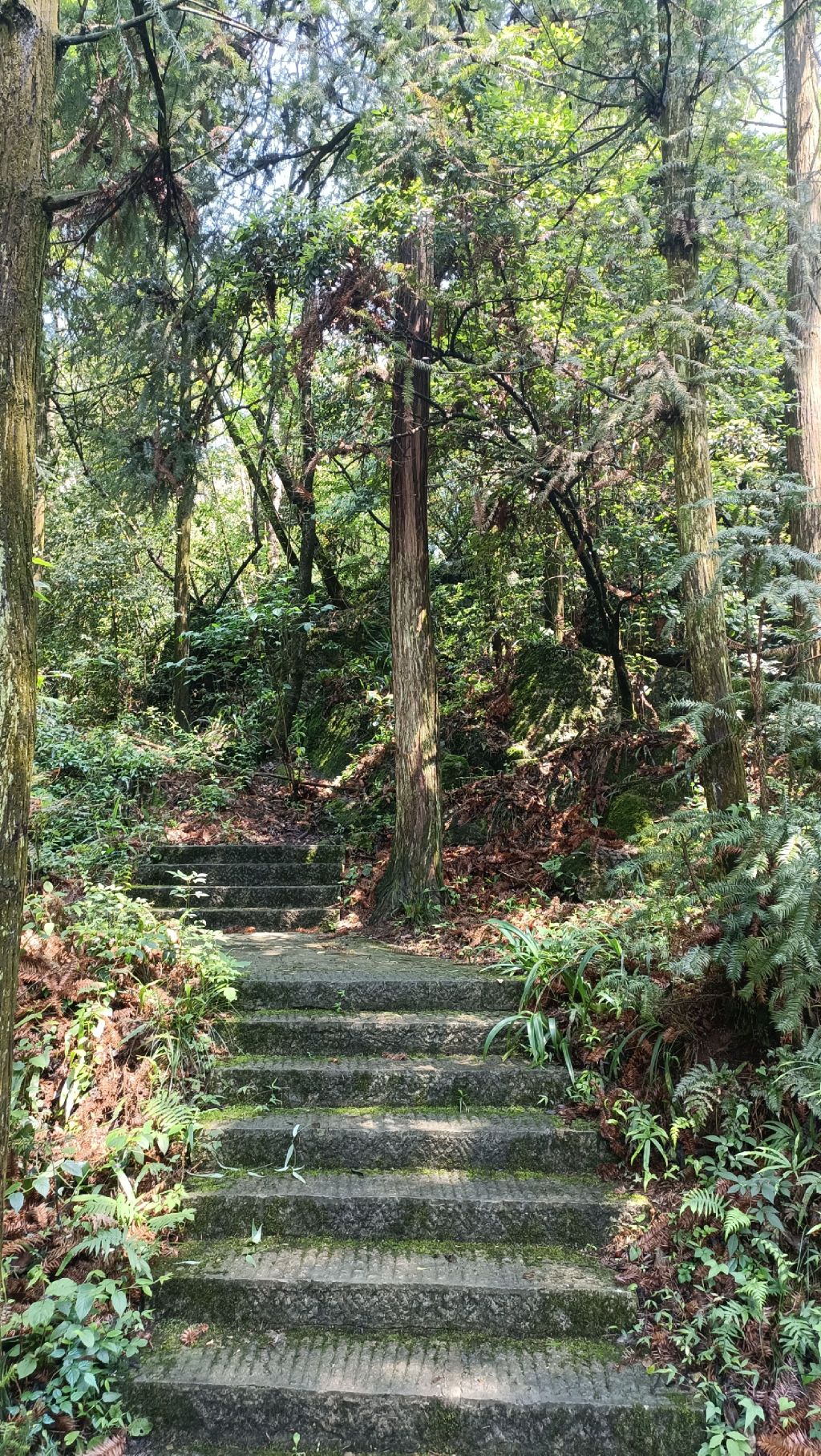 贵阳市森林公园旅行图片 1