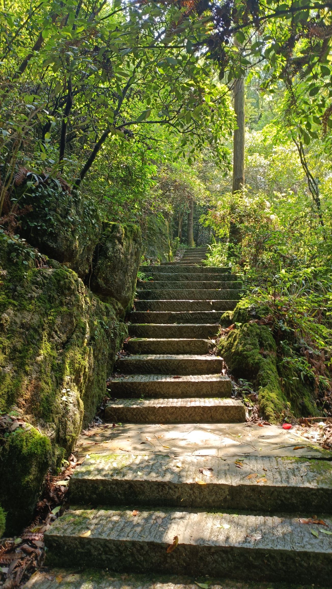 贵阳市森林公园旅行图片 2