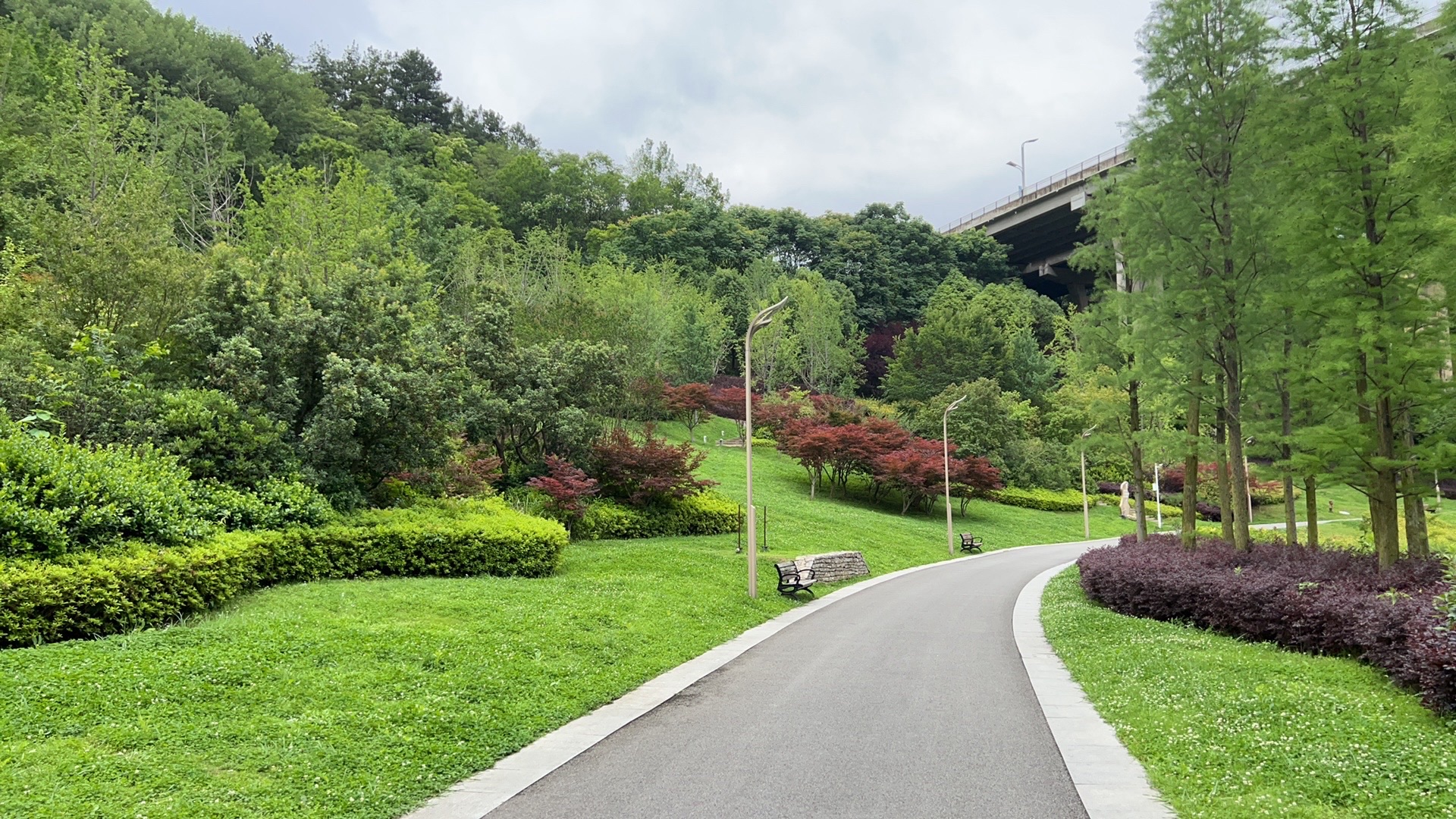 贵阳市森林公园旅行图片 2